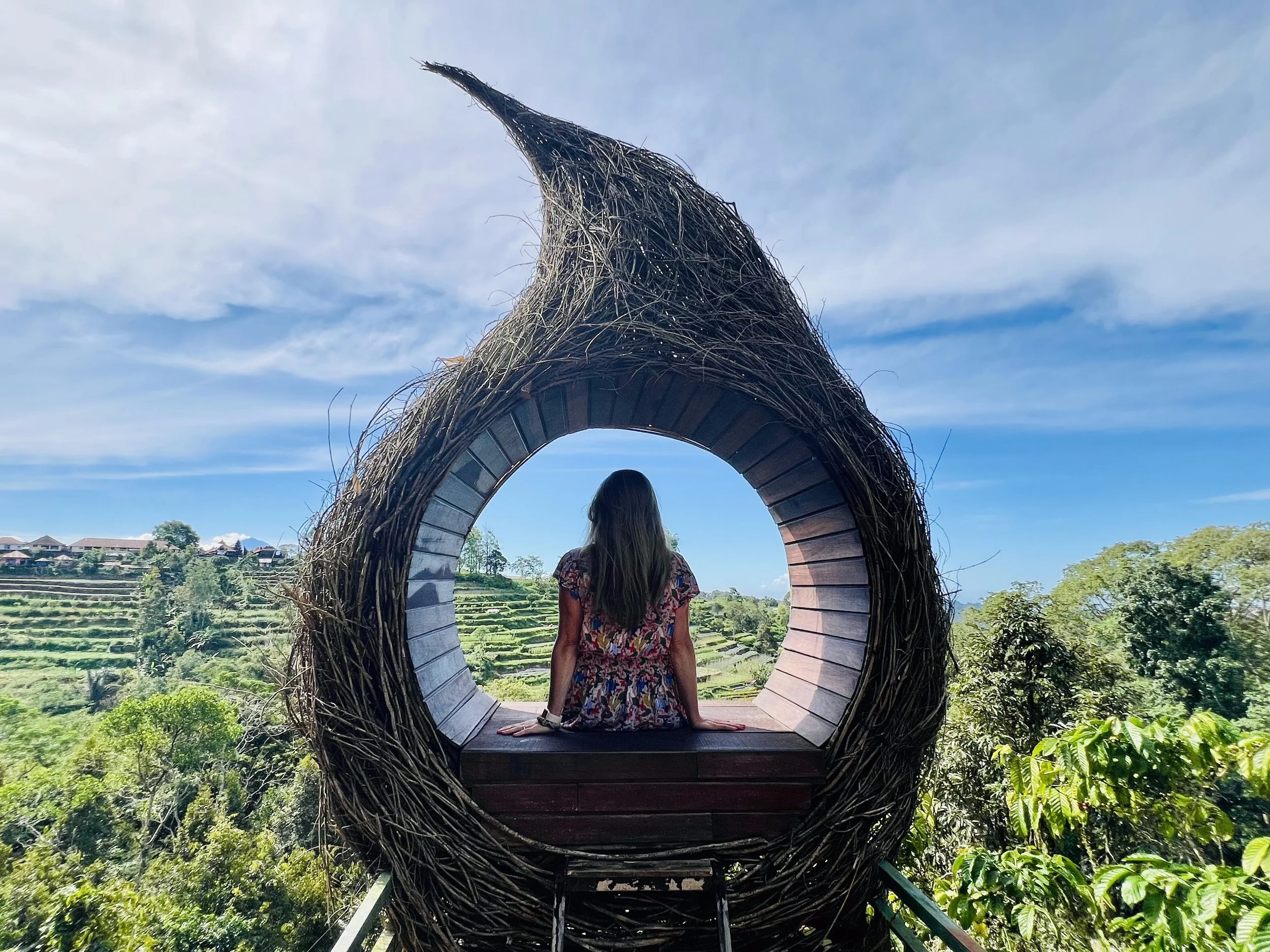 Look out at rice paddies in central Bali, Indonesia. May 2025. 