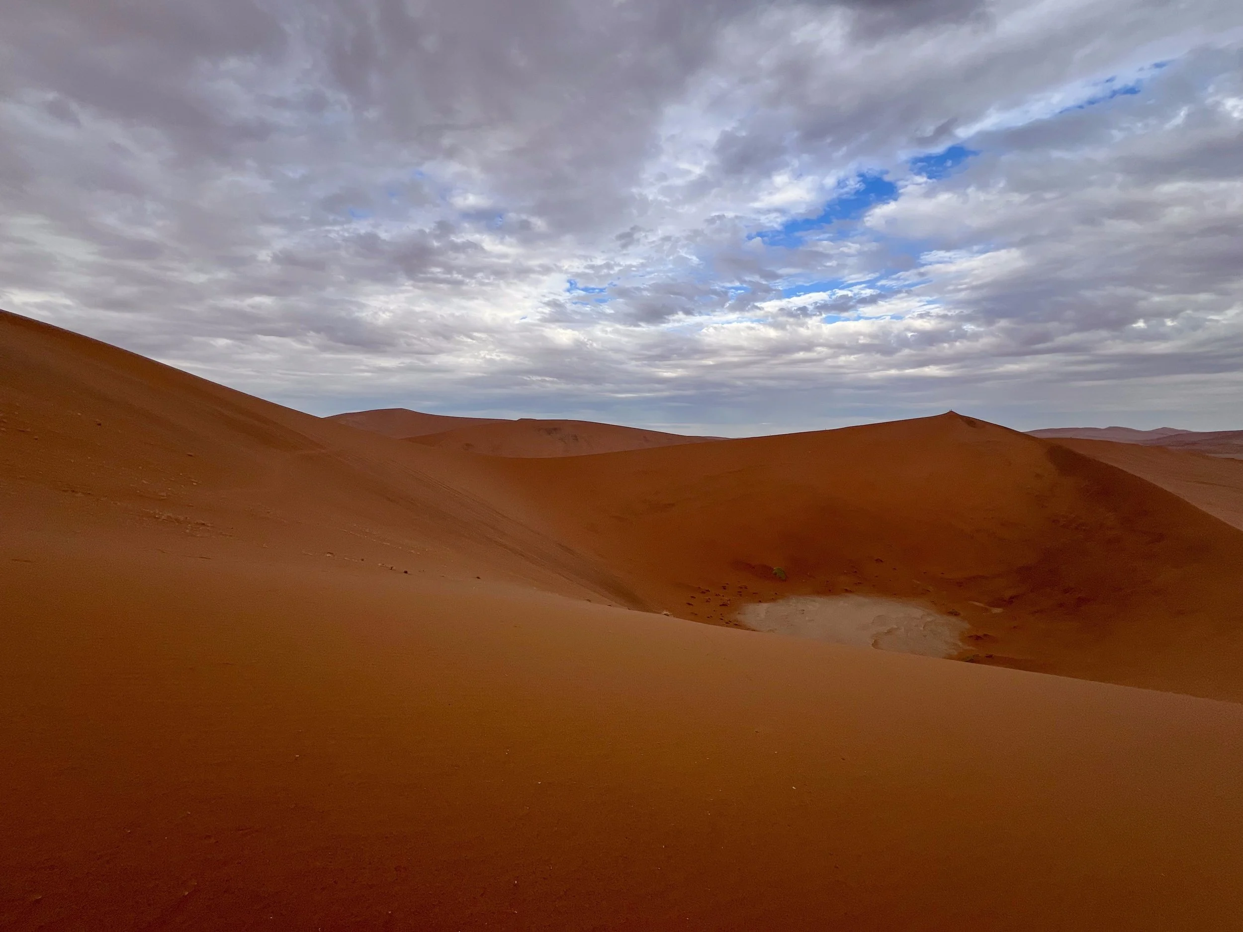 The beautiful red inland dunes of the Namib Desert, near Sossusvlei, Namibia. February 2026.  