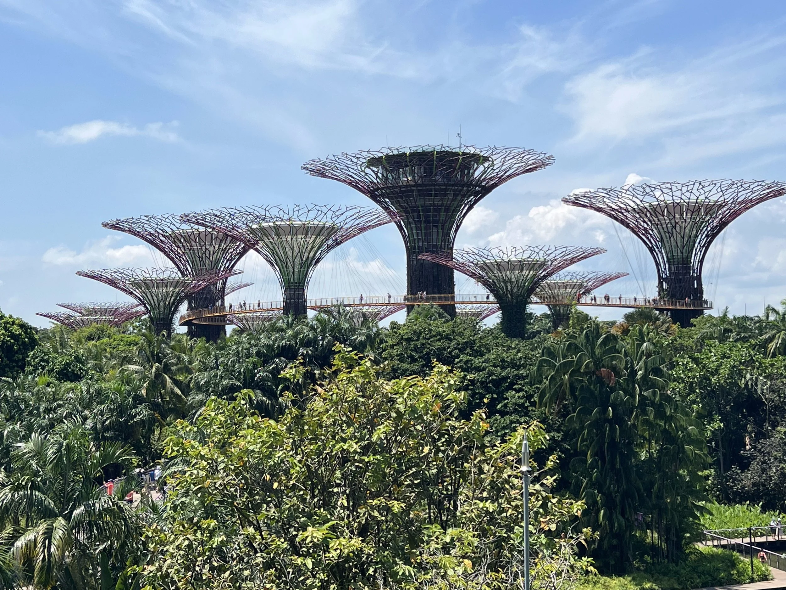 The supertree grove at Gardens by the Bay in Singapore. May 2025. 