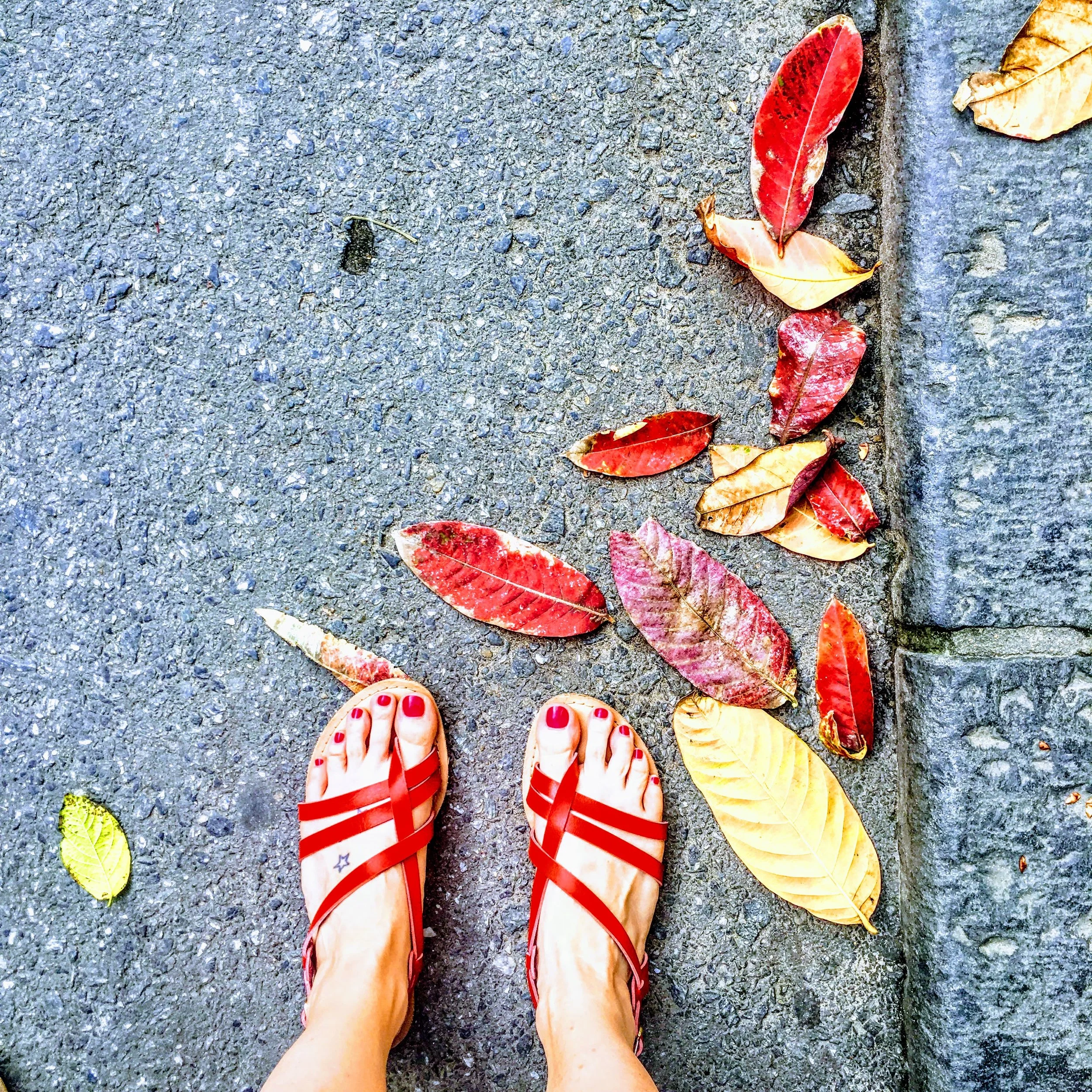 I love how my sandals, toes, and the leaves all match in this street shot from Hôi An, Vietnam. January 2019. 