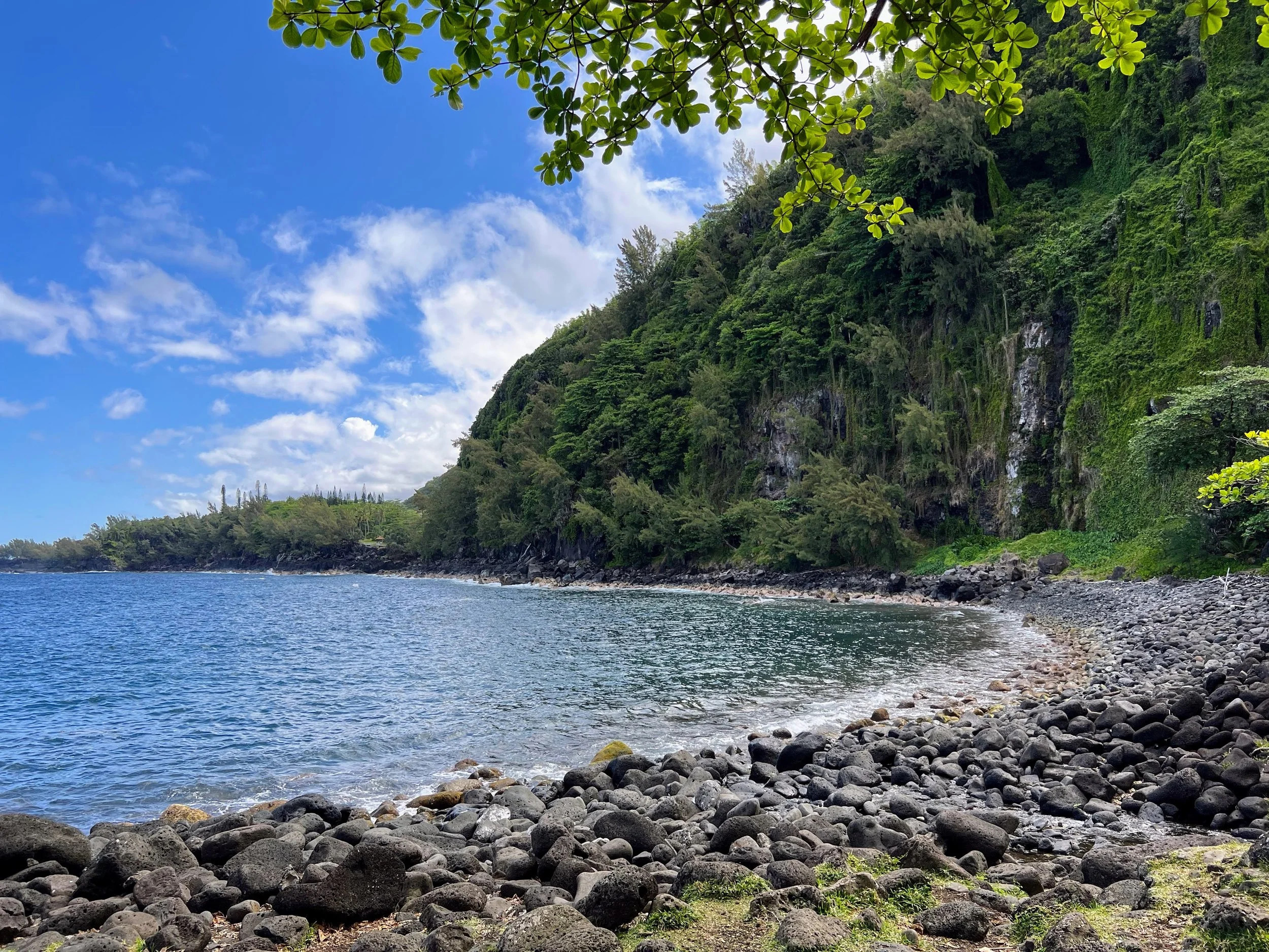 La Réunion, France. November 2022. 