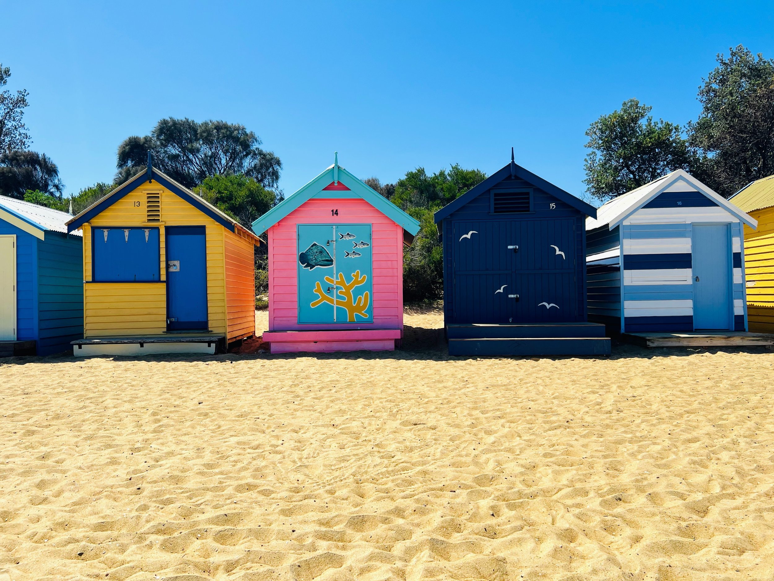 Bathing boxes at Brighton Beach, Melbourne, Australia. March 2025. 