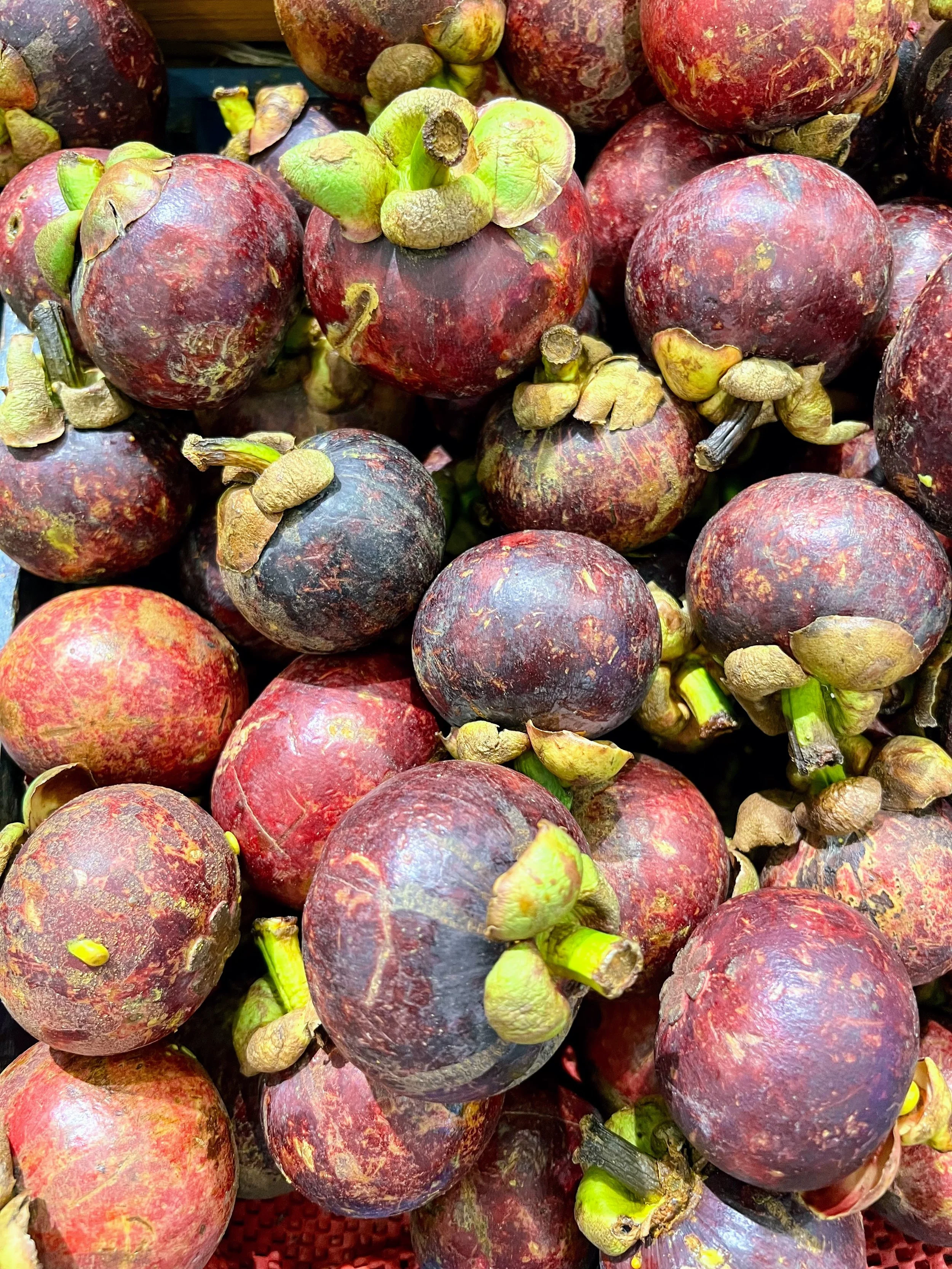 Mangosteen are delicious. Fun fact: they're not allowed in hotel rooms in many places in Asia because the skin stains sheets and towels. Bali, Indonesia. April 2025. 