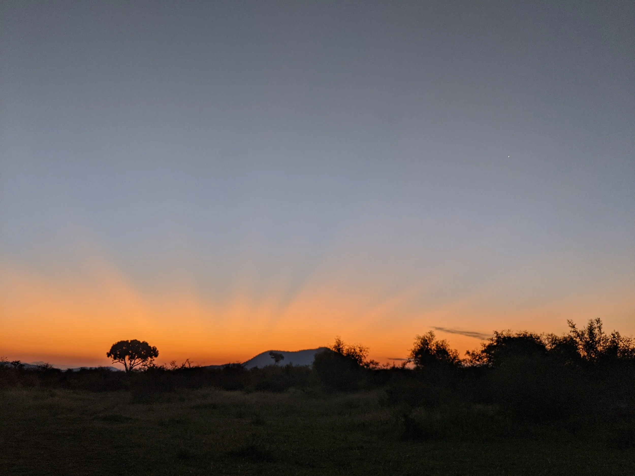 Sunset in Madikwe Game Reserve in South Africa. February 2020.