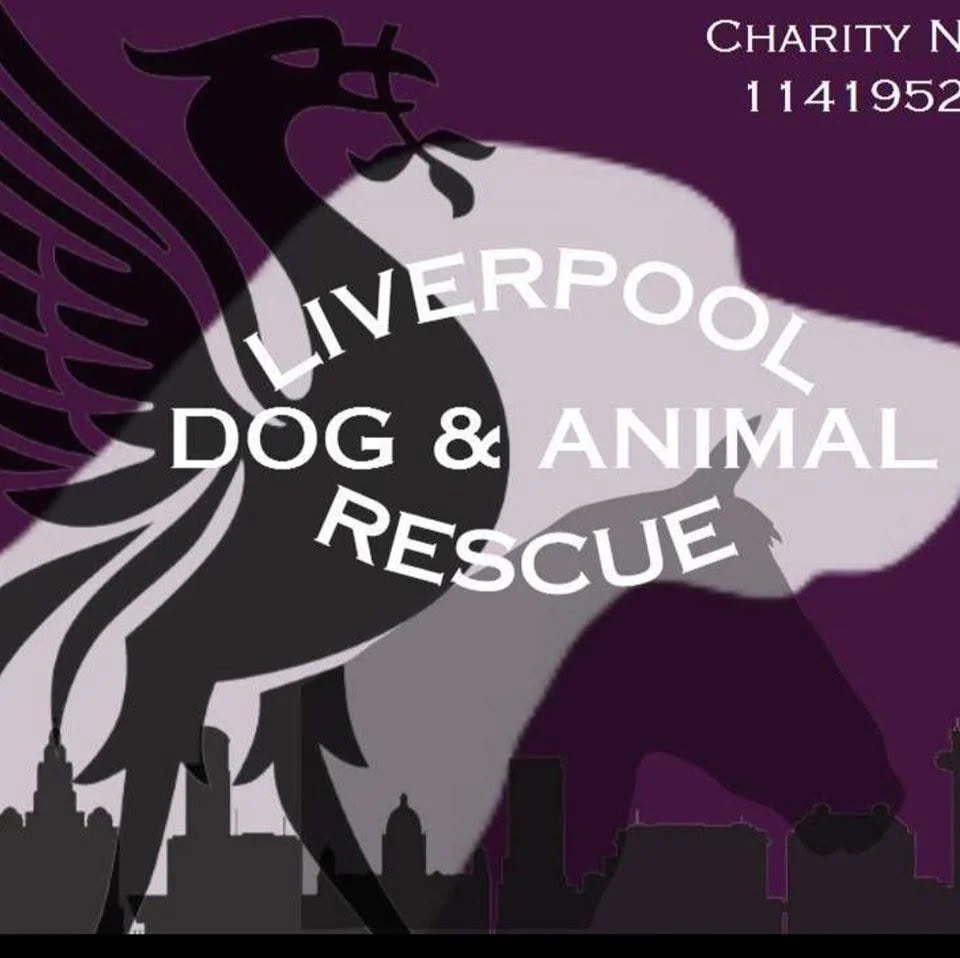 liverpool dog rescue.jpg