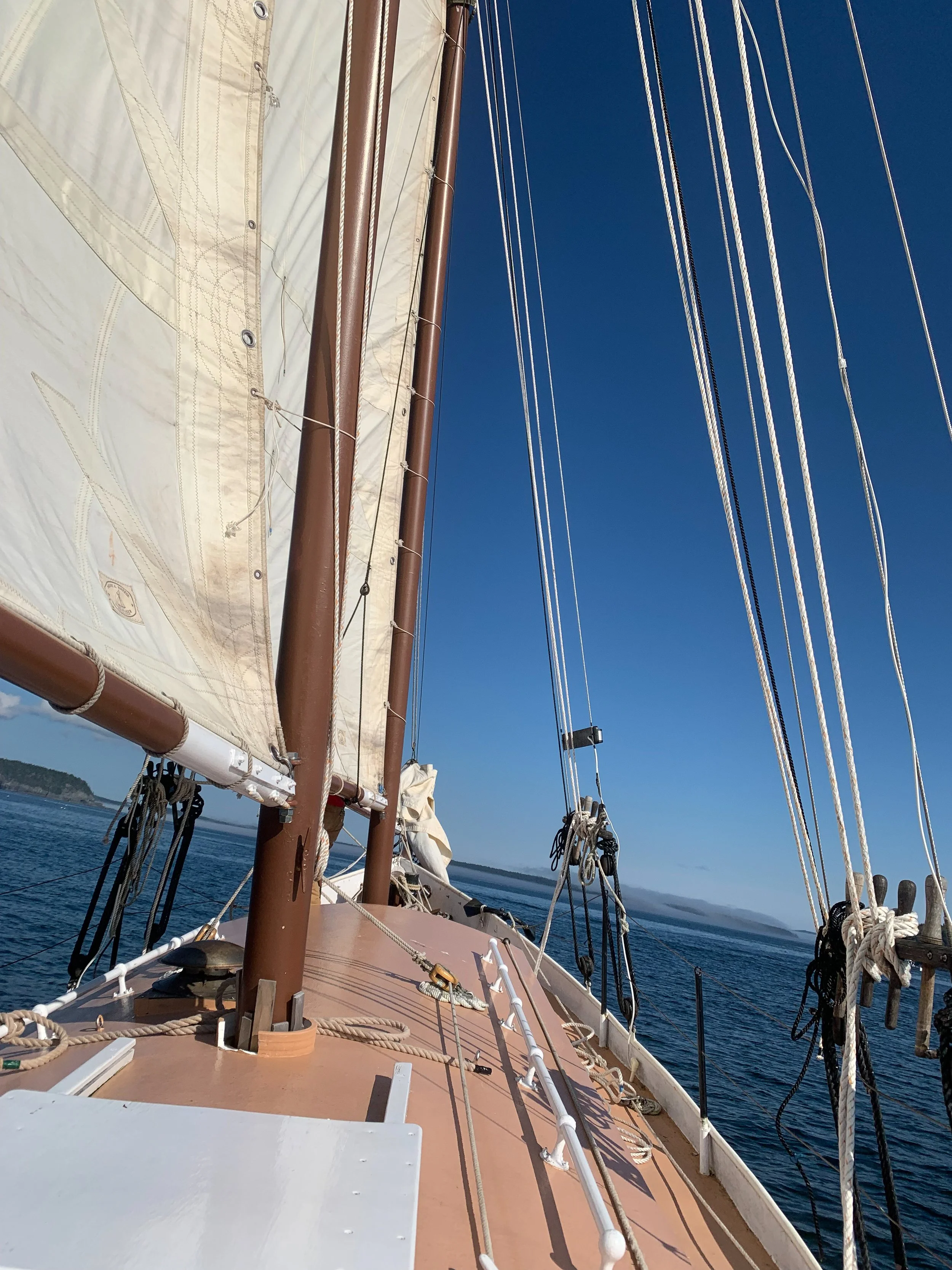 Resource: Podcast Episode with Nikki Myers