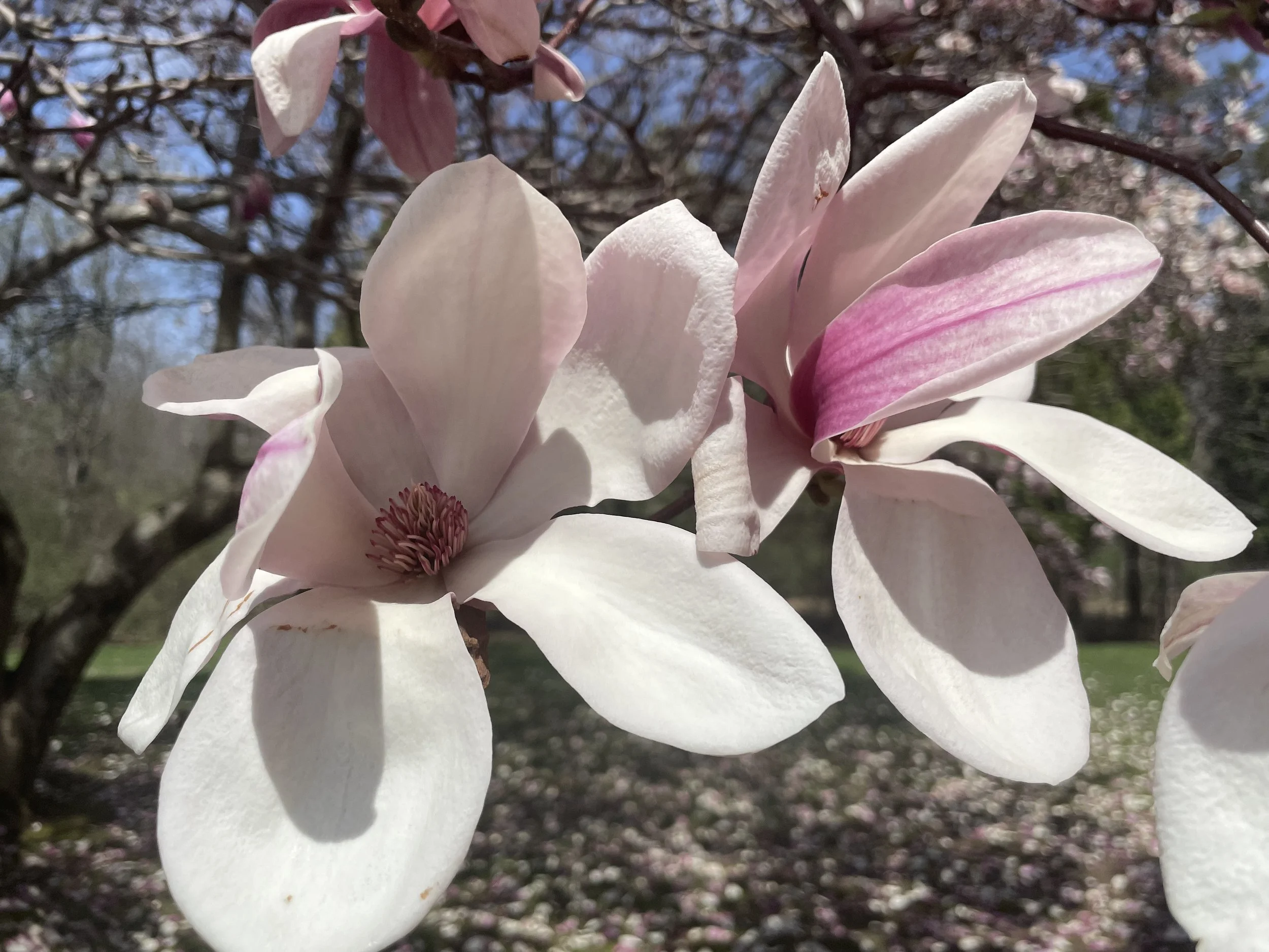 Normalizing Invisible Grief