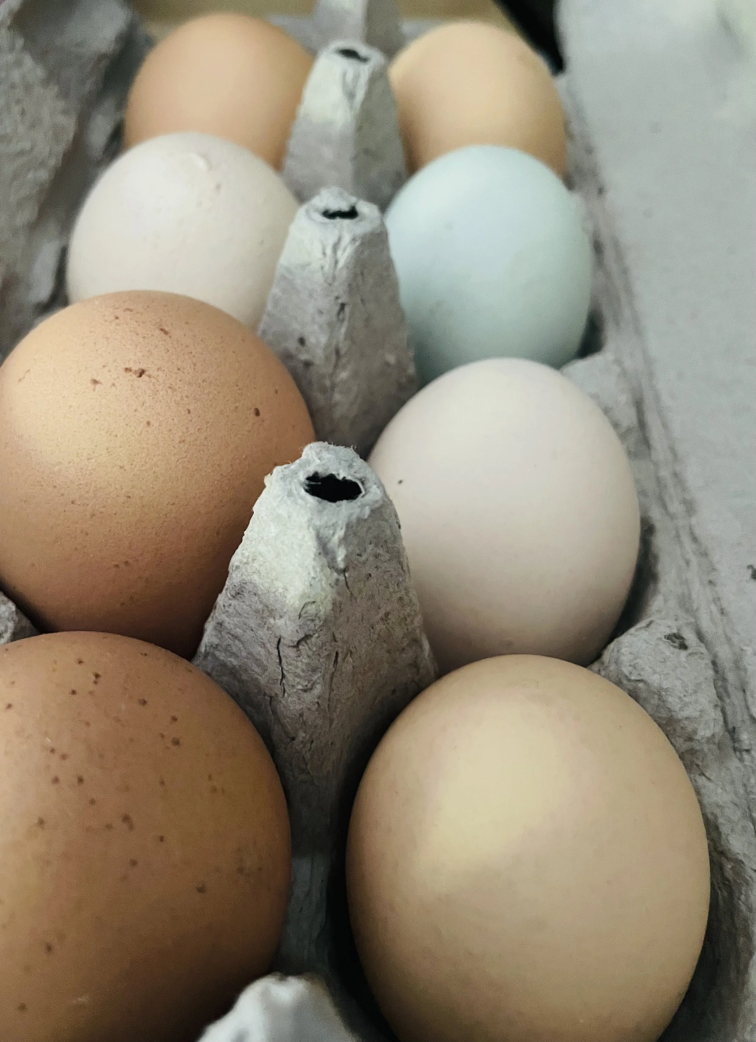 Take Your Eggs to Therapy
