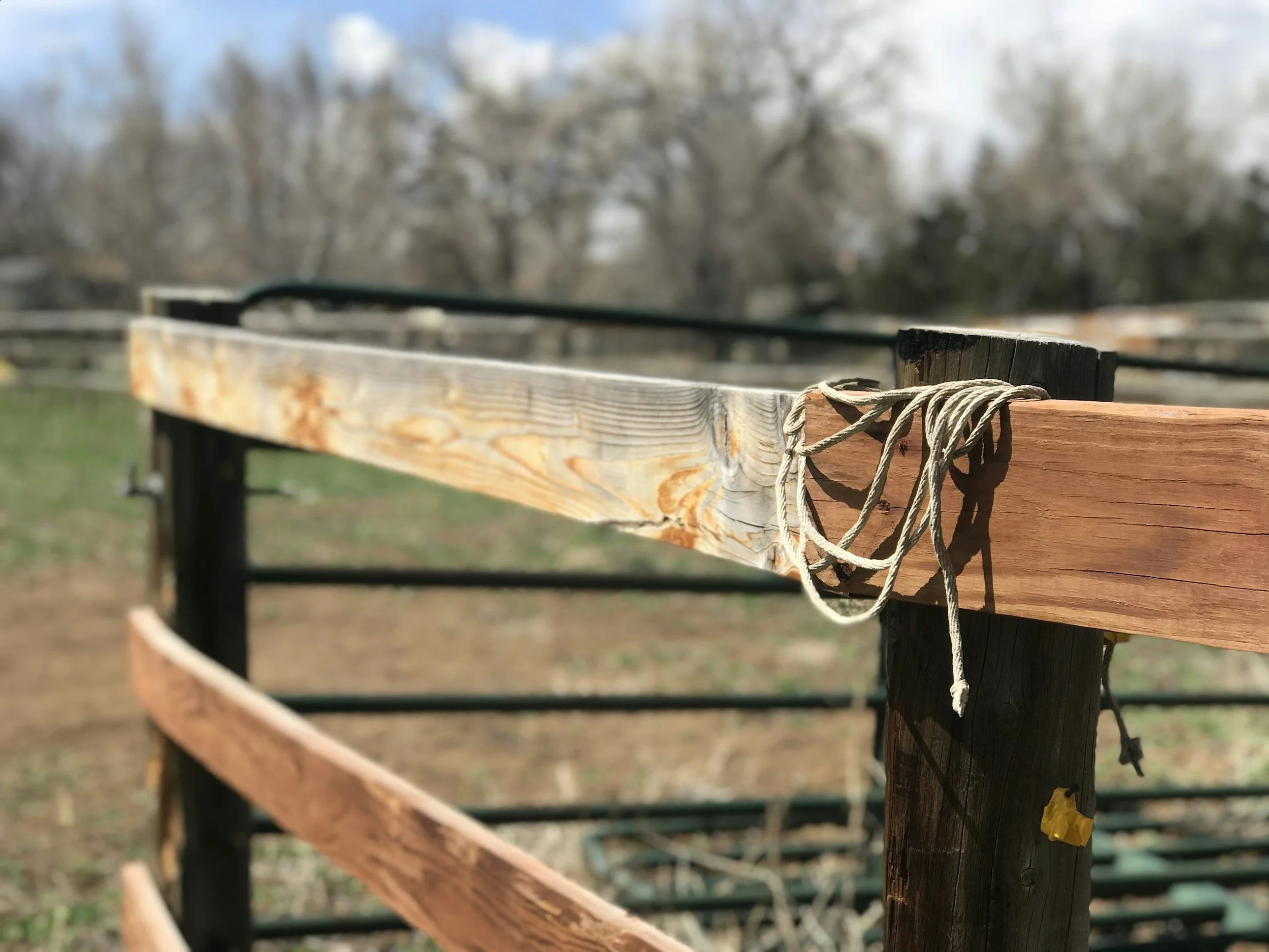 Summer Fence Prep in Colorado: Preventing Sun Damage and Warping