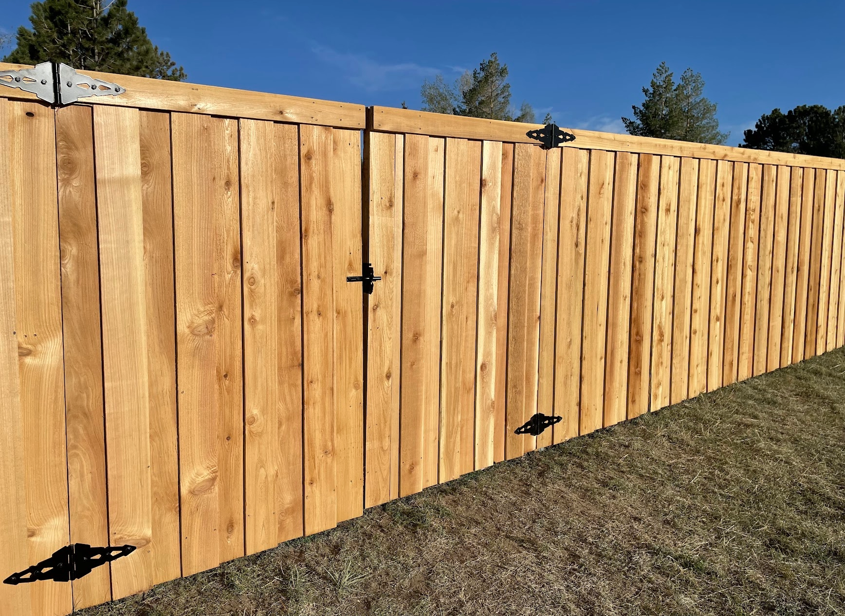 A tall wooden fence made of vertical planks with black metal hinges and latches, set against a clear blue sky with trees in the background.
