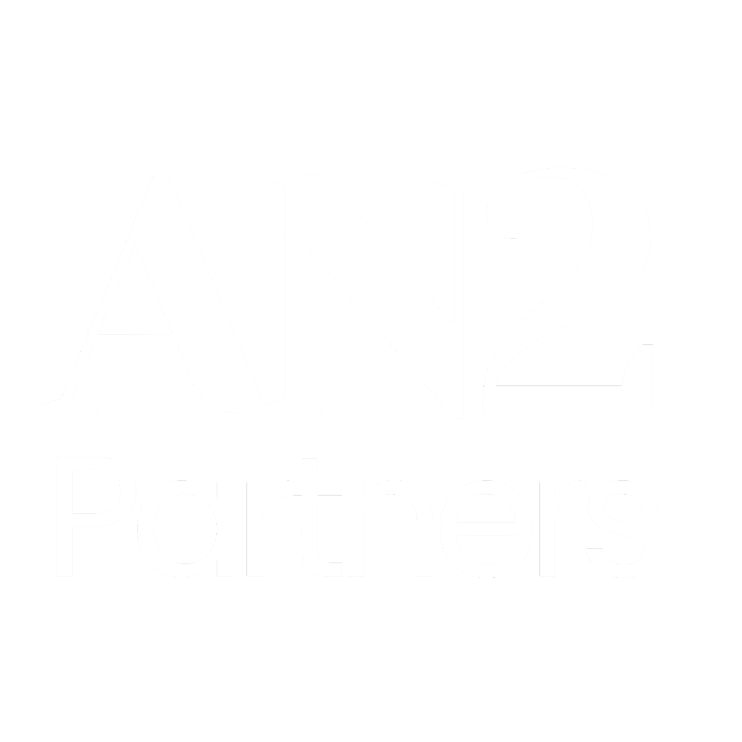 AN2 Partners. Change &amp; Leadership Partner