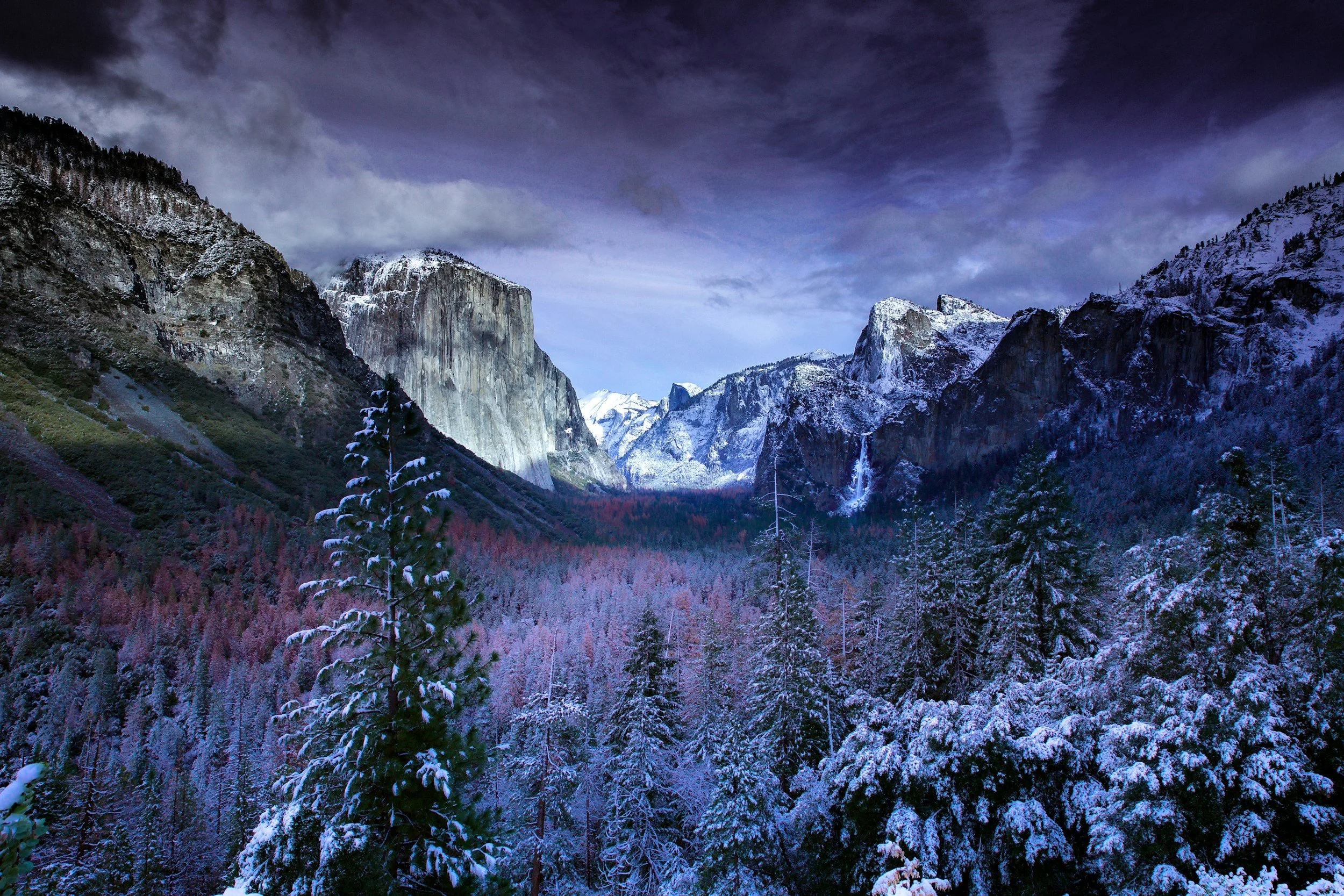 Snow-covered trees and mountains in a valley under cloudy sky.