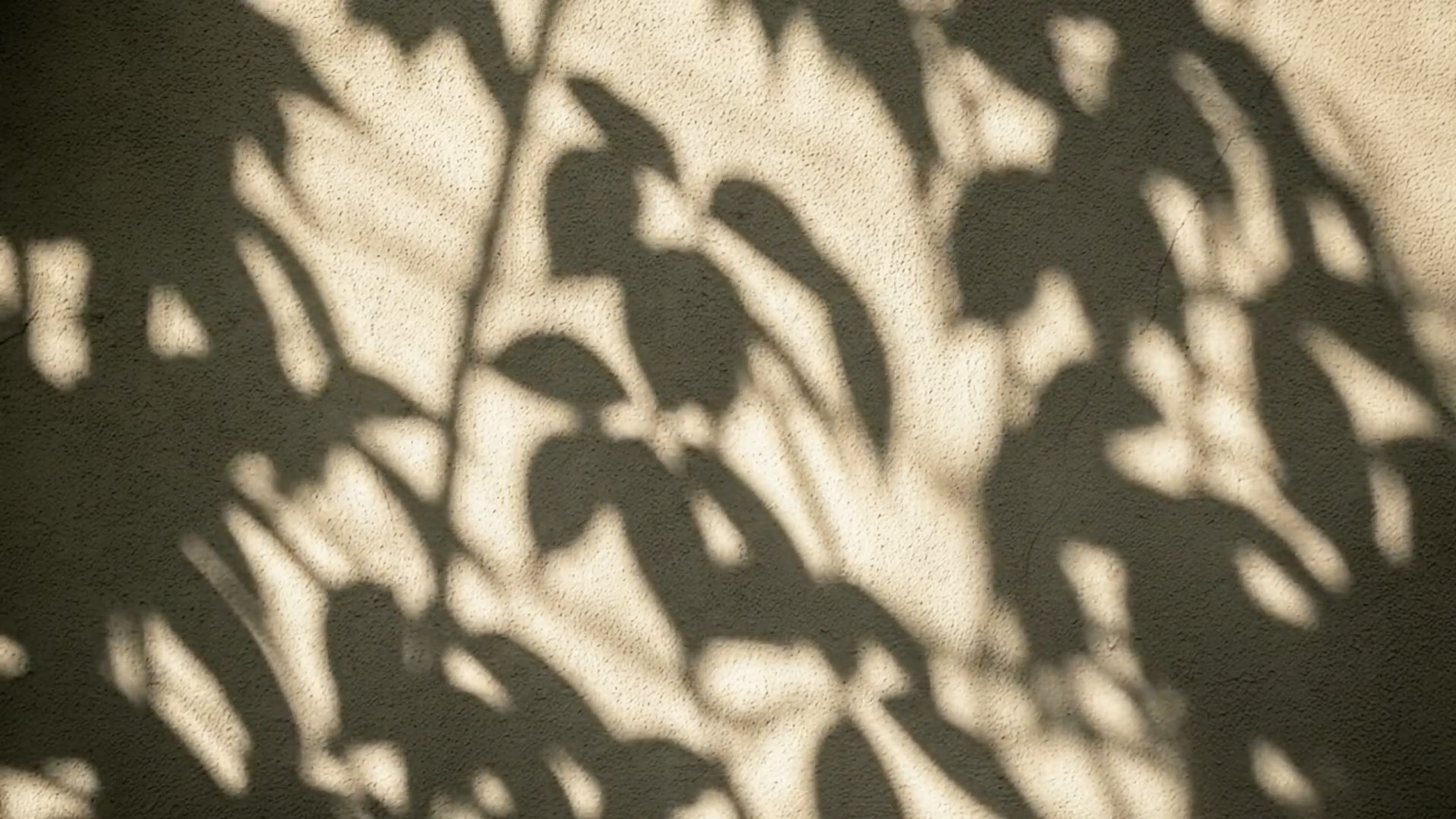 Screenshot 2026-04-15 at 4.13.48 PM.png