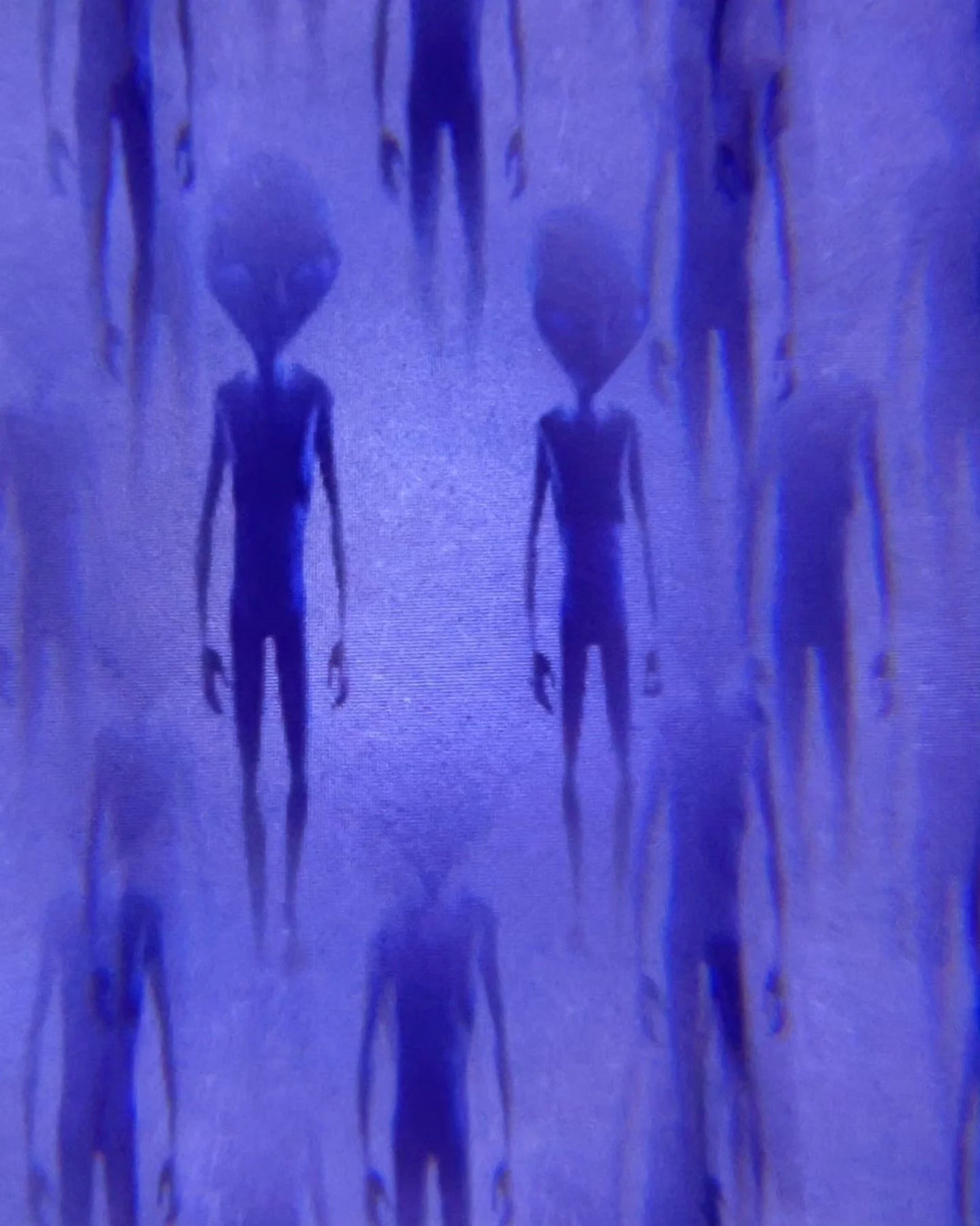 677228380_10166973540693906_592113164682129948_n.jpg