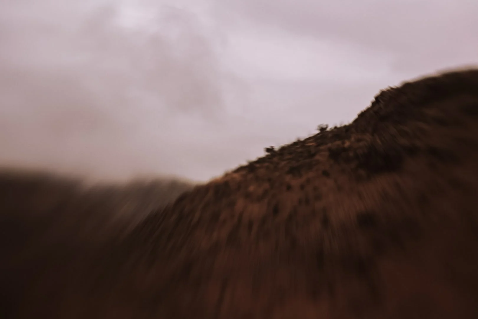 9-6H0A0123.jpg