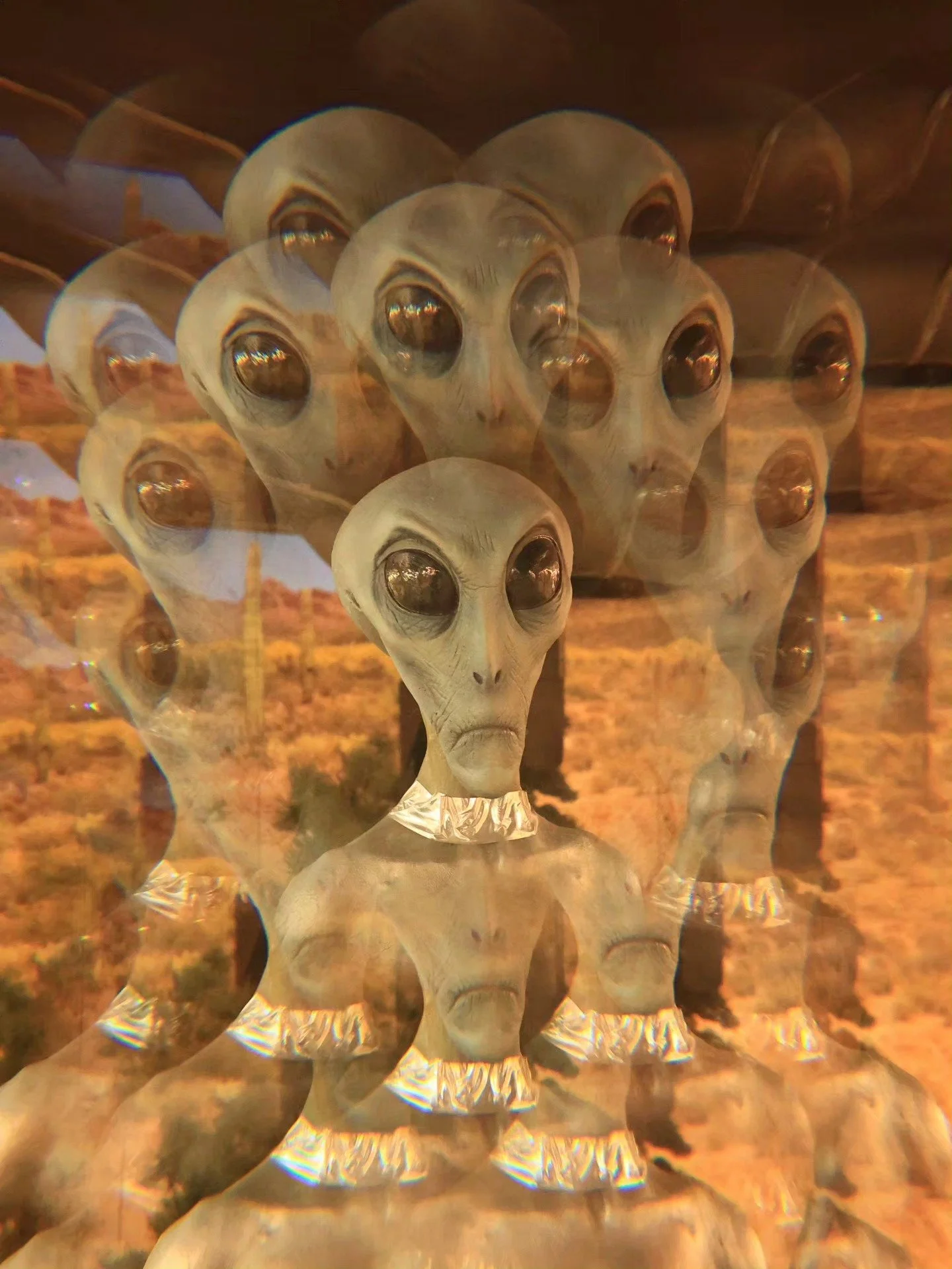 673941913_10166973614878906_6836054130780930056_n.jpg