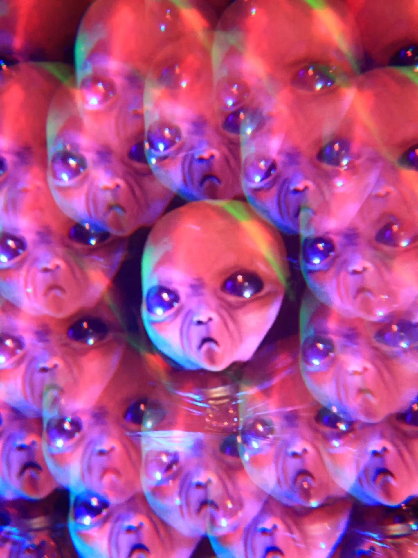 673594993_10166973614888906_1758320326612541086_n.jpg