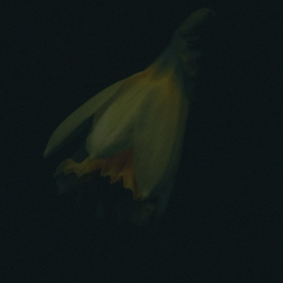 3-2020-10-24.jpg