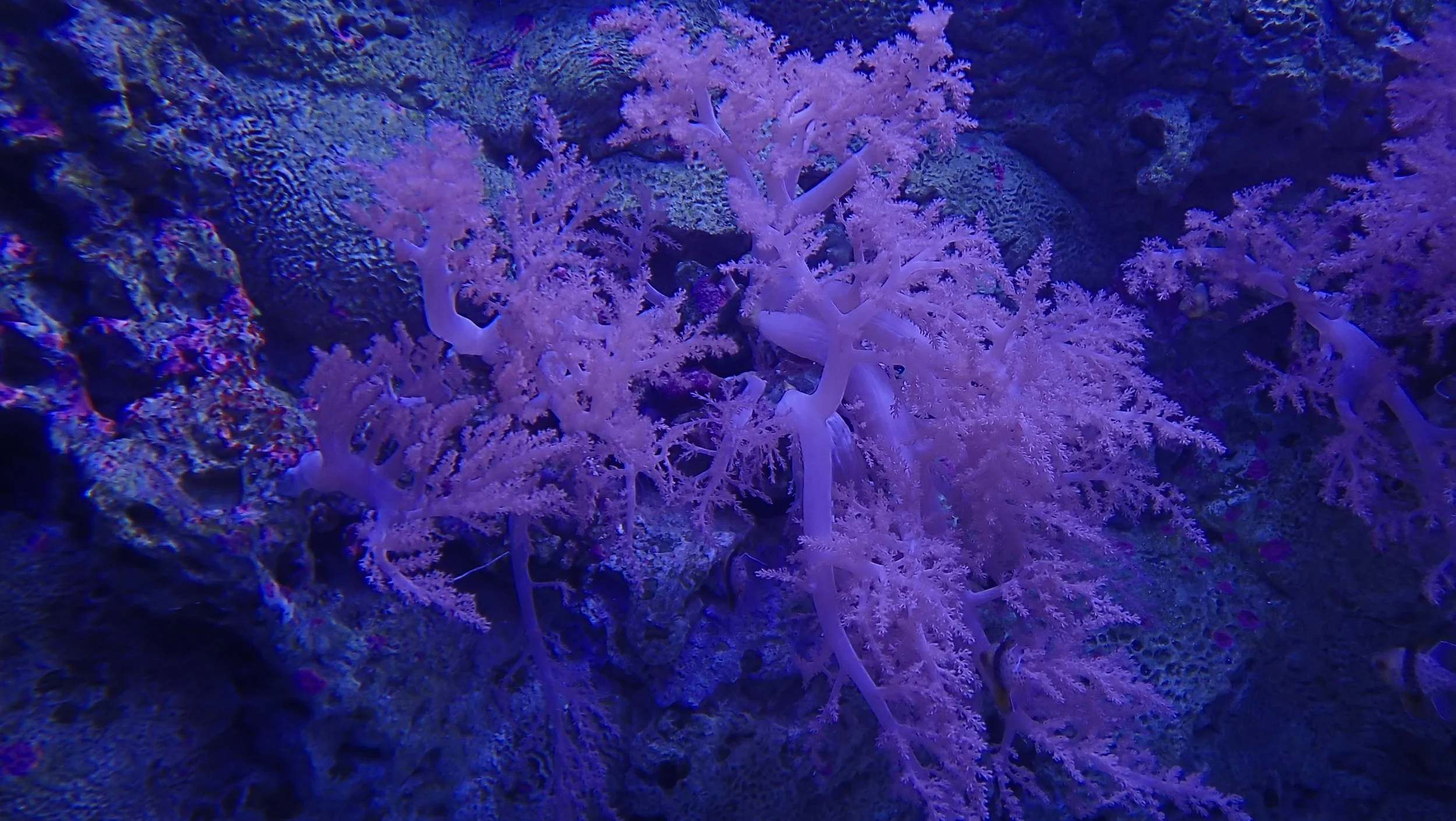 252-P9115097.jpg