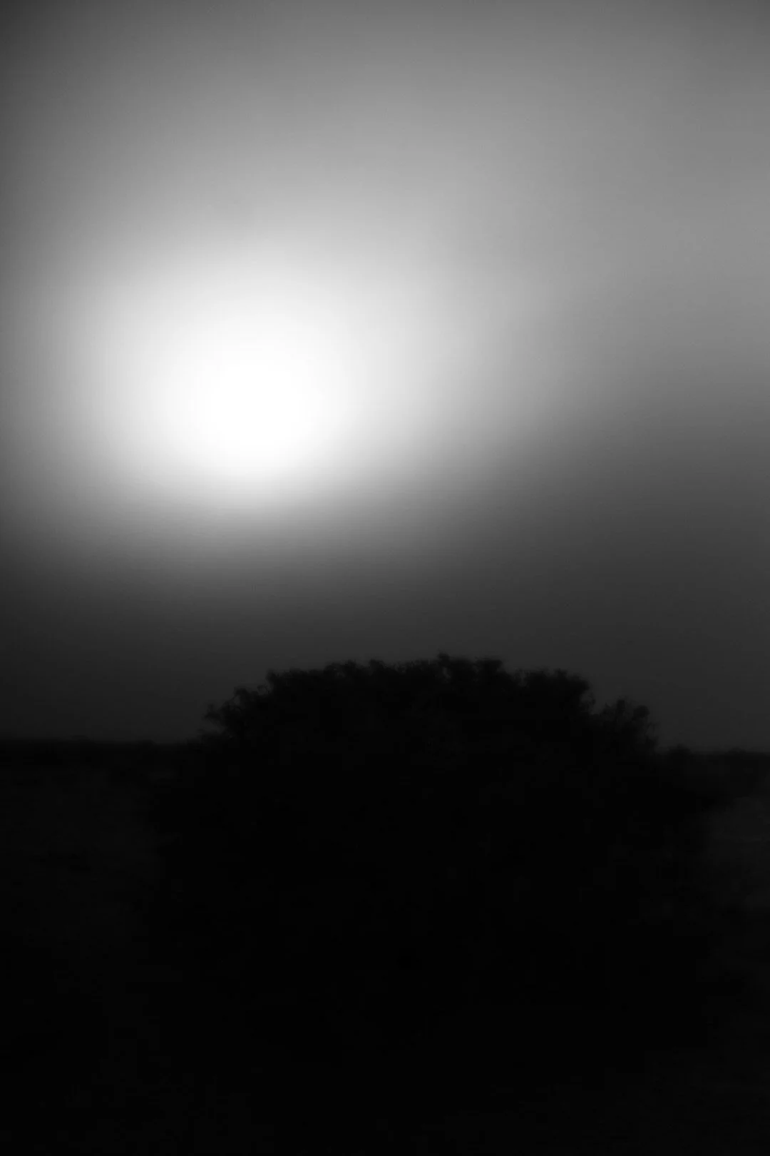 23-6H0A6384.jpg