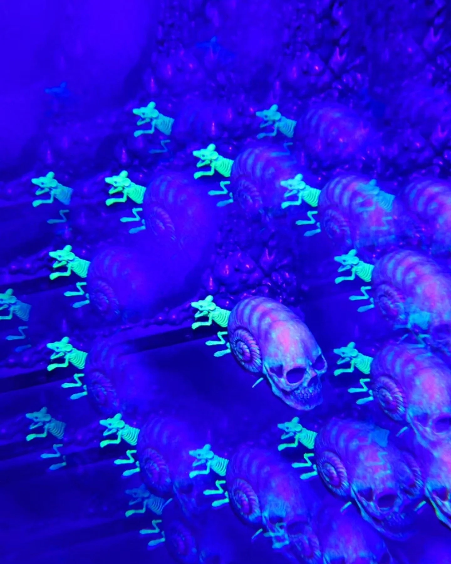 677318698_10166973540643906_8964946455490853756_n.jpg
