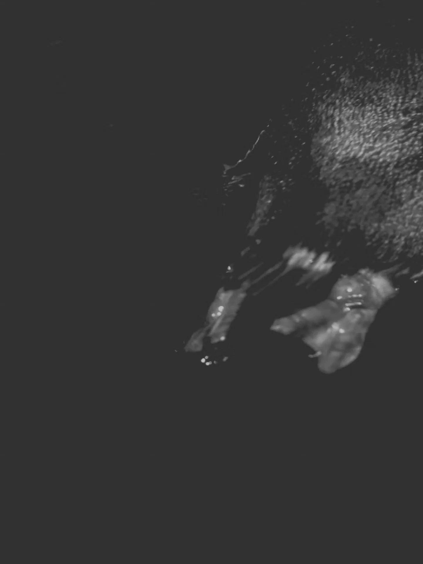 623418411_10166510271668906_8479692704537324236_n.jpg