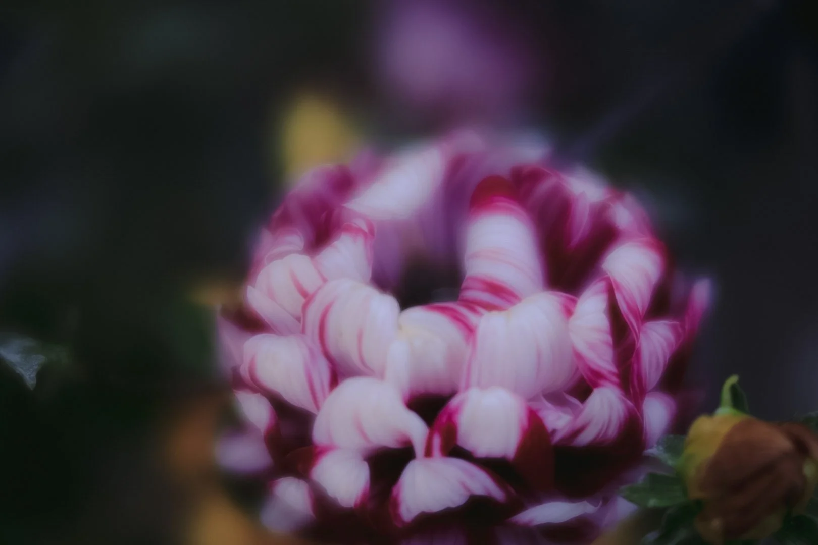 27-6H0A7905.jpg