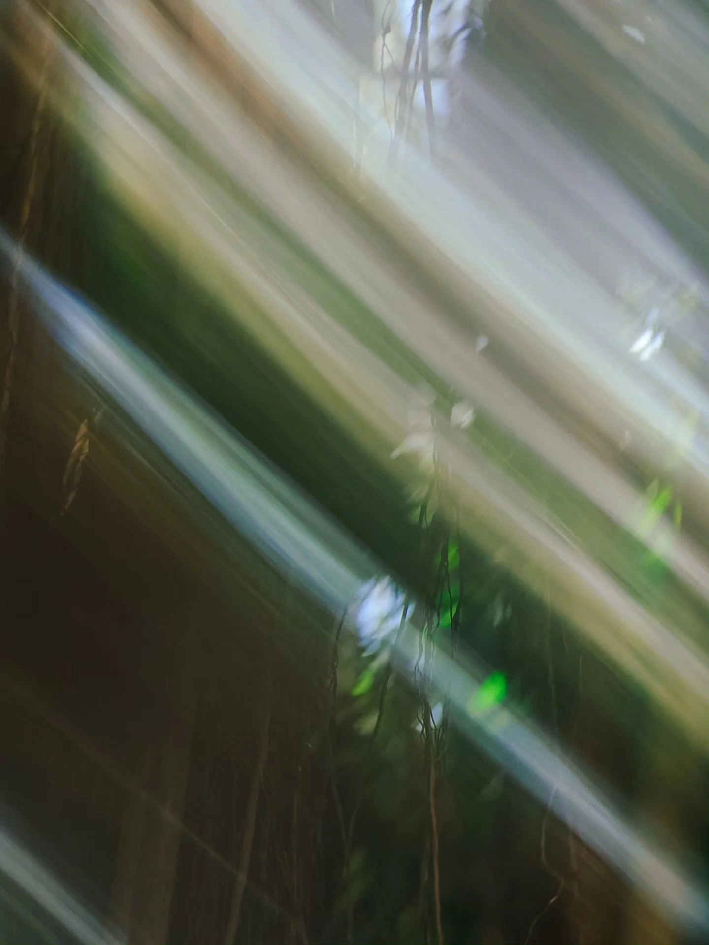623262155_10166509062923906_3099006888919558384_n.jpg