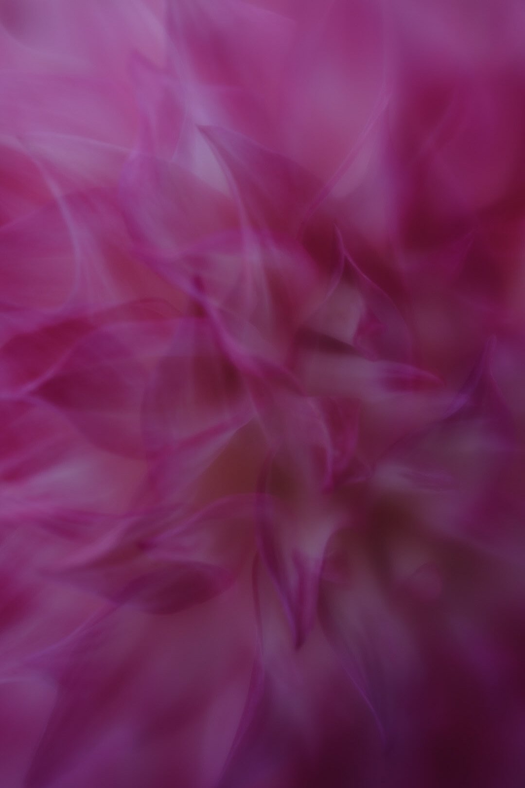 16-6H0A8061.jpg