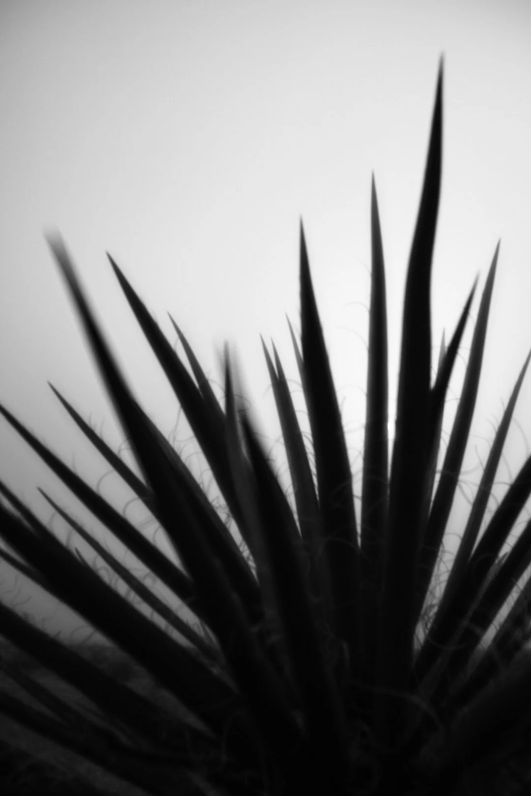 8-6H0A6405.jpg