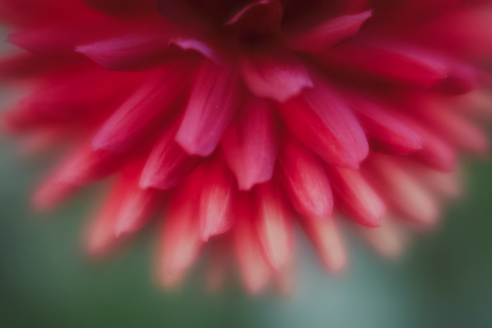 28-6H0A7902.jpg