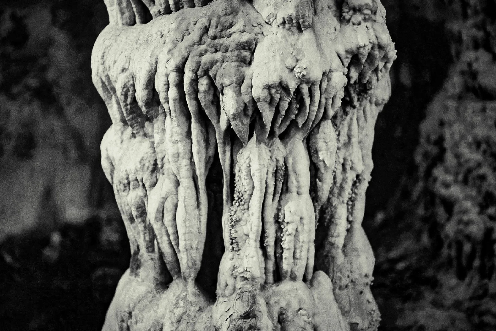 43-6H0A1169.jpg