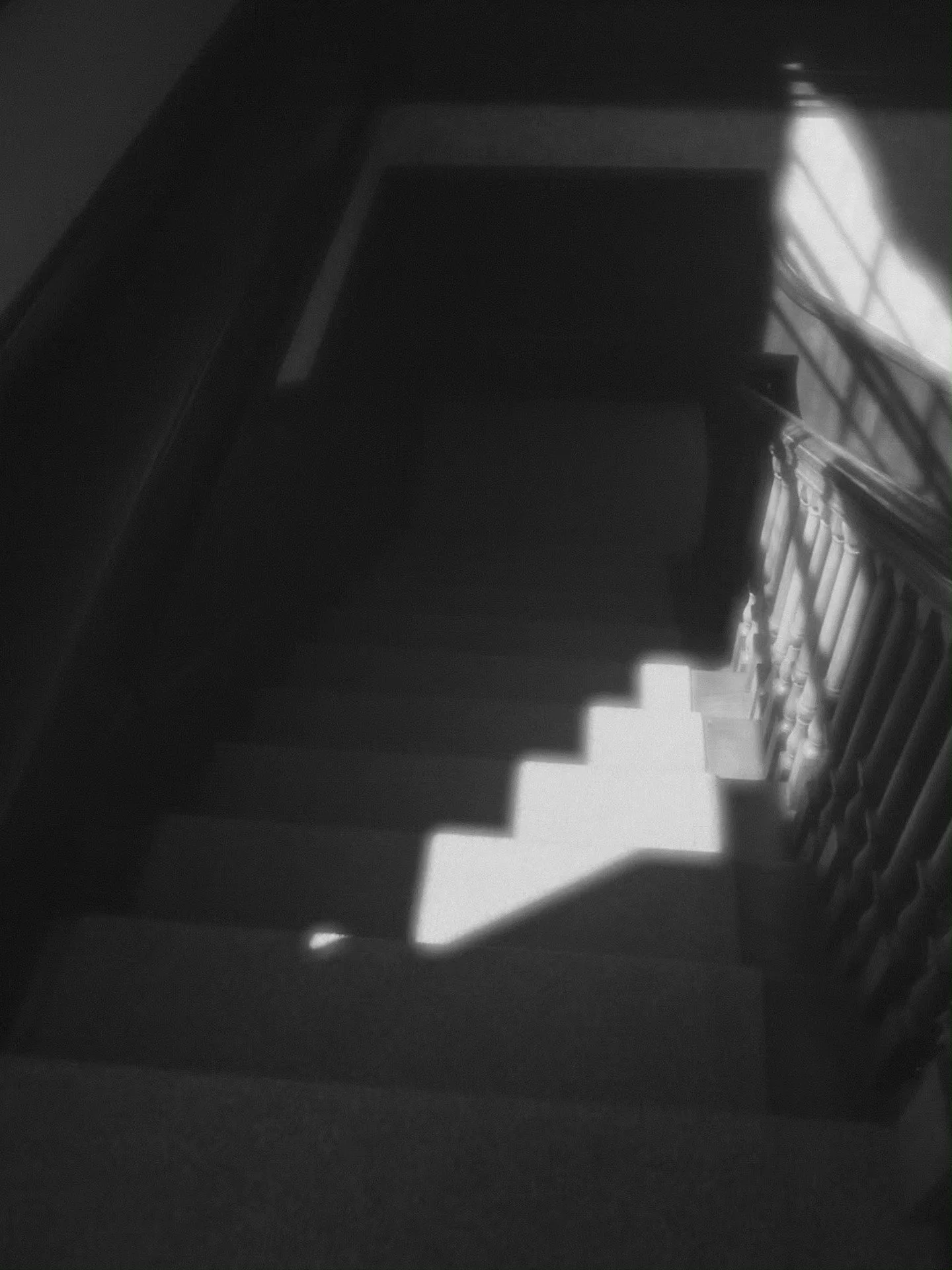 622139872_10166486410943906_275218885816481578_n.jpg