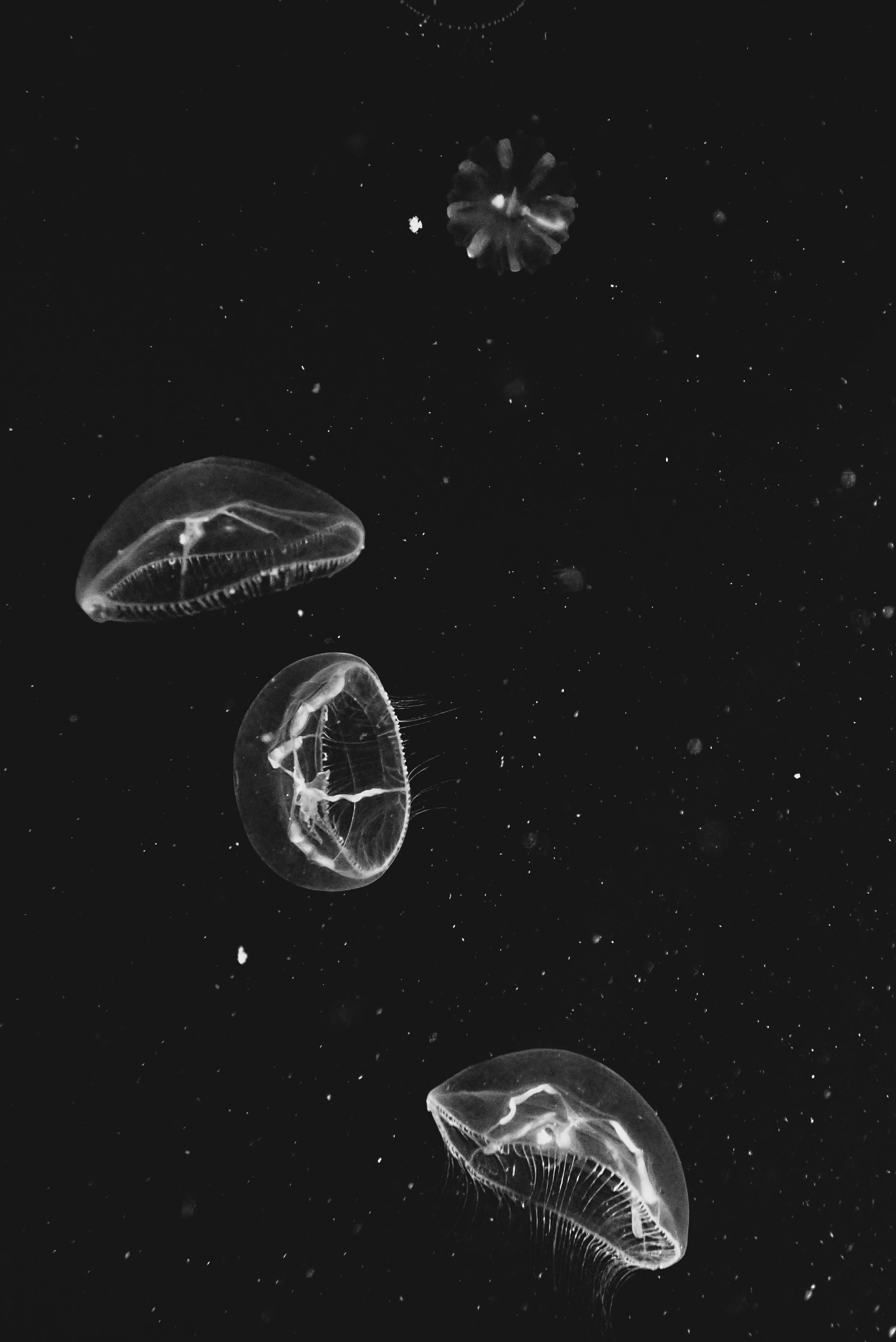 27-P1015462.jpg