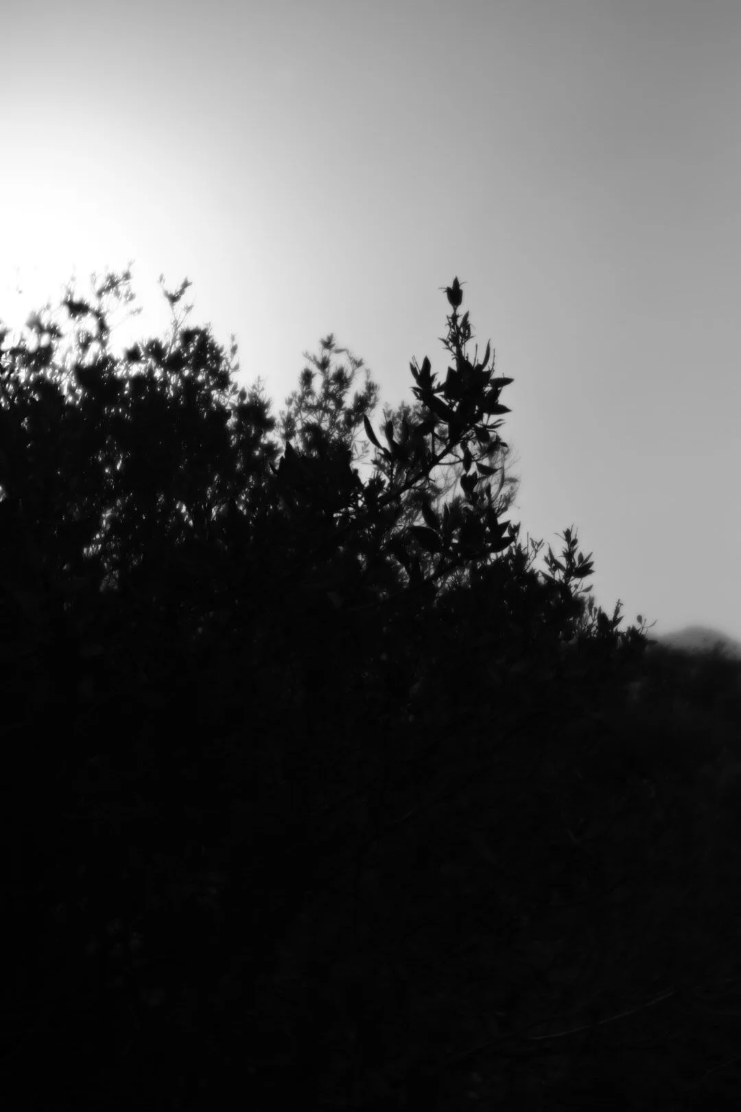 17-6H0A6272.jpg