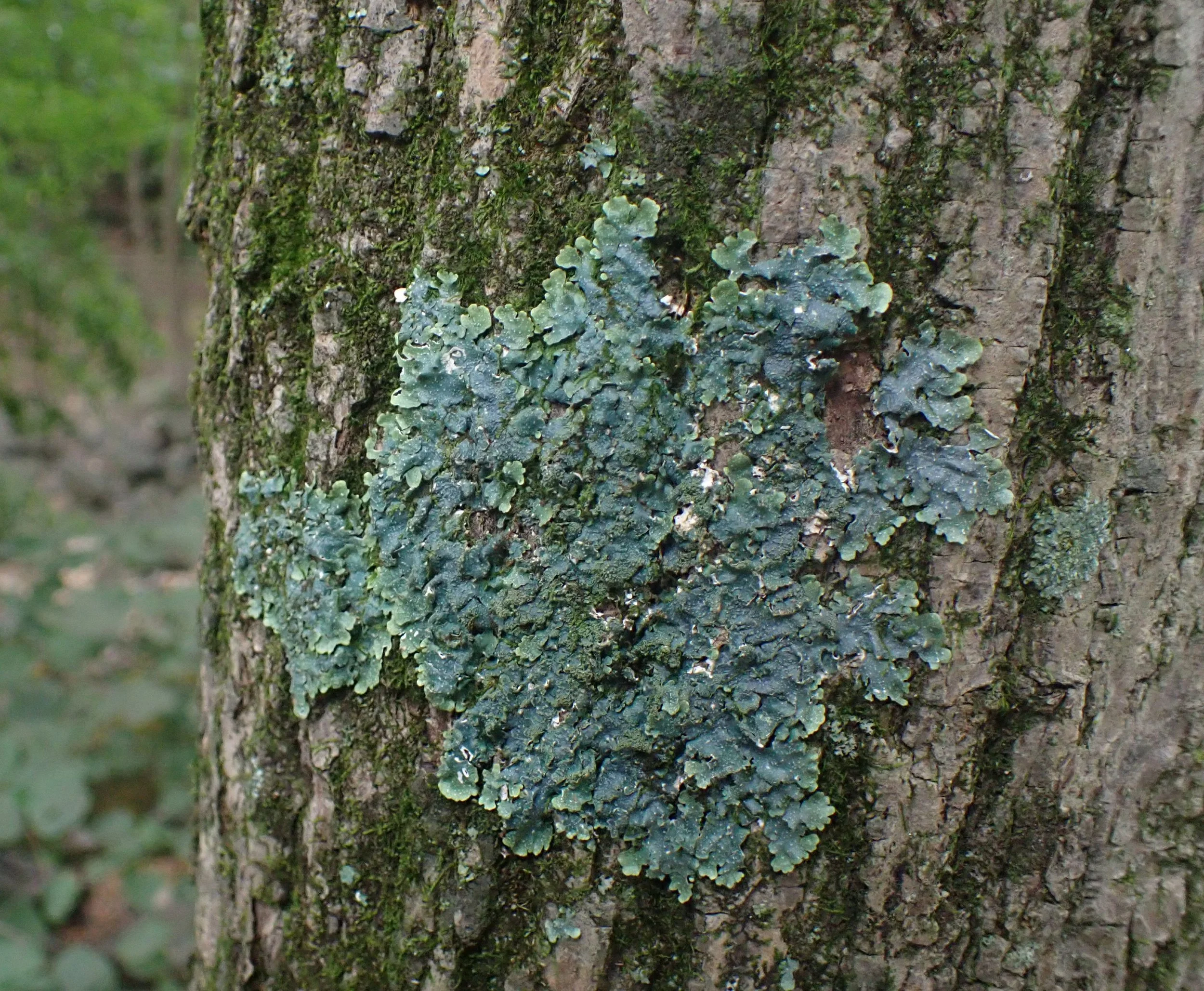 P8014550.JPG