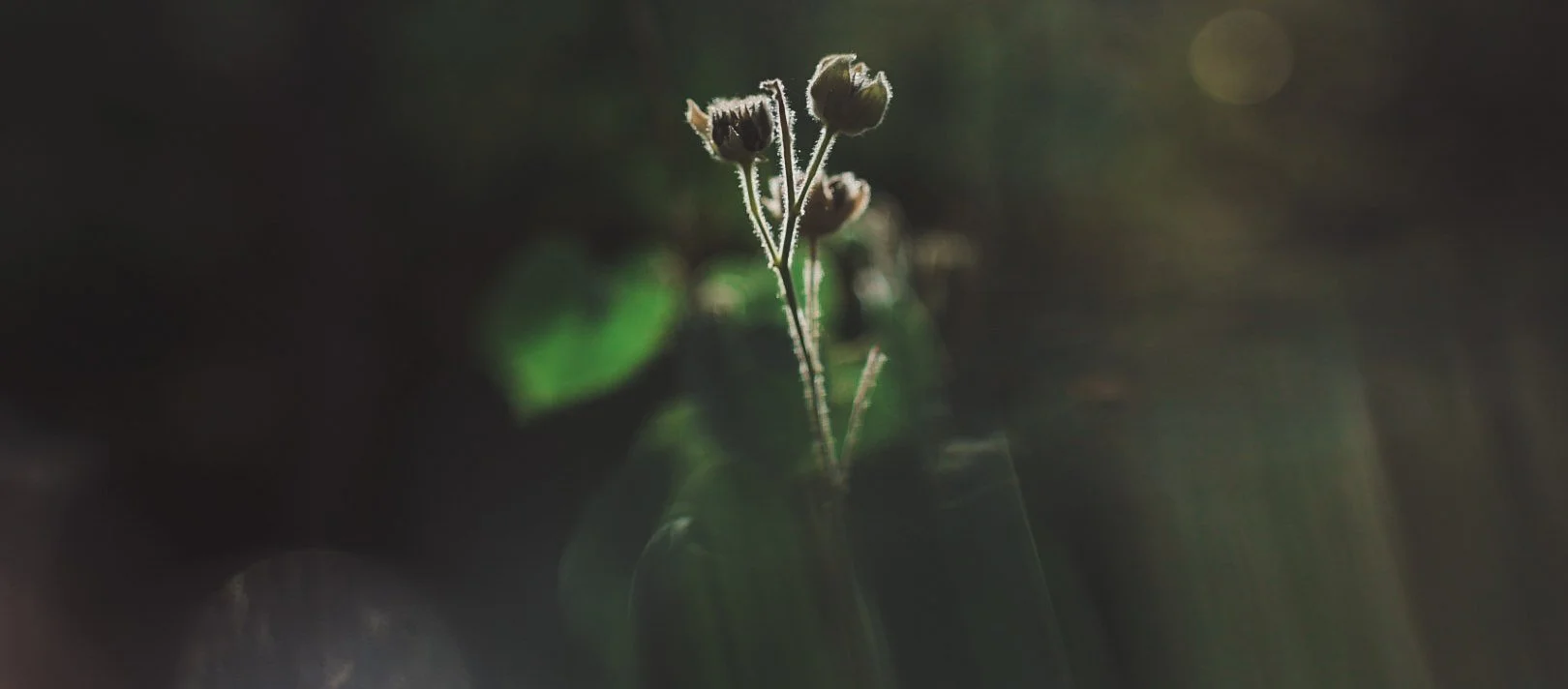 309-6H0A6005.jpg