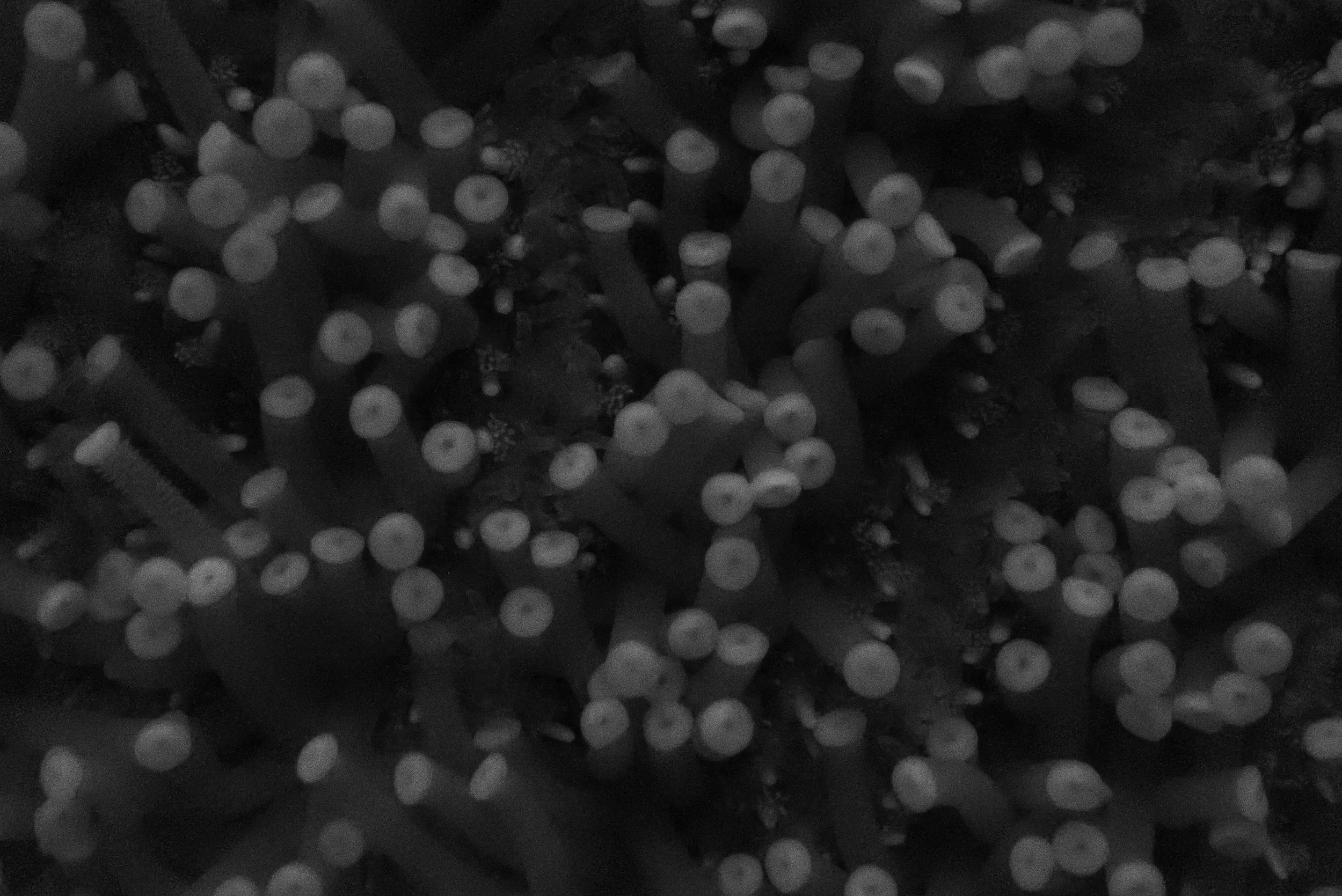 30-P1015495.jpg
