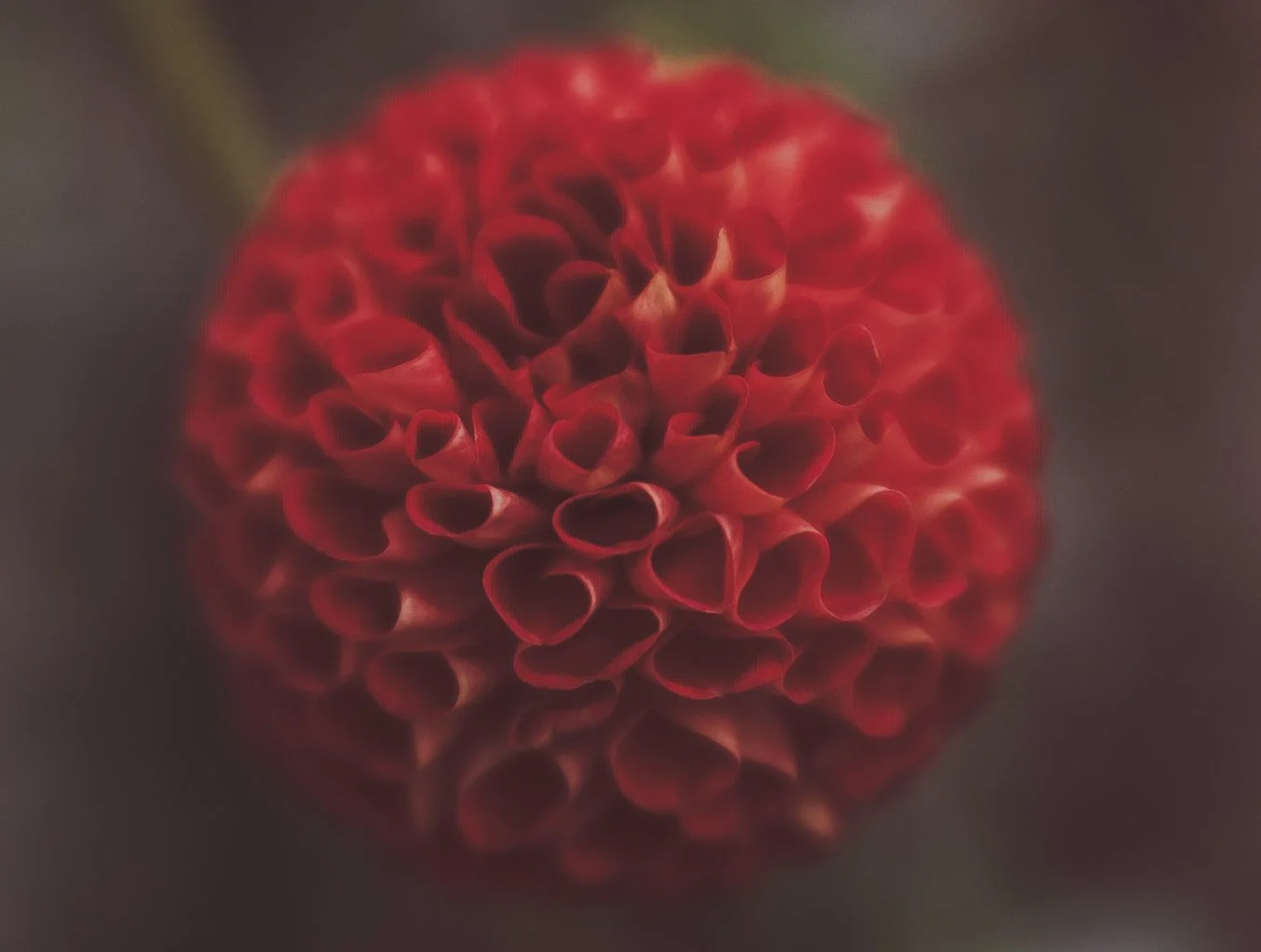 21-6H0A8200.jpg