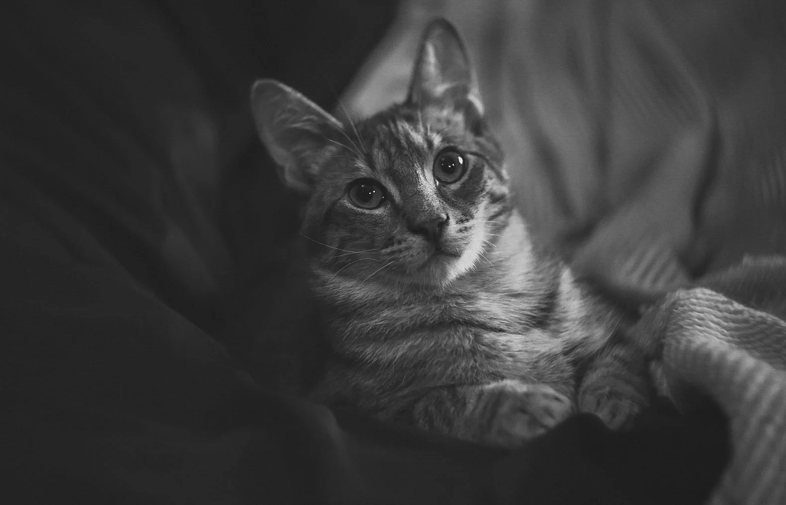 53-6H0A7296.jpg