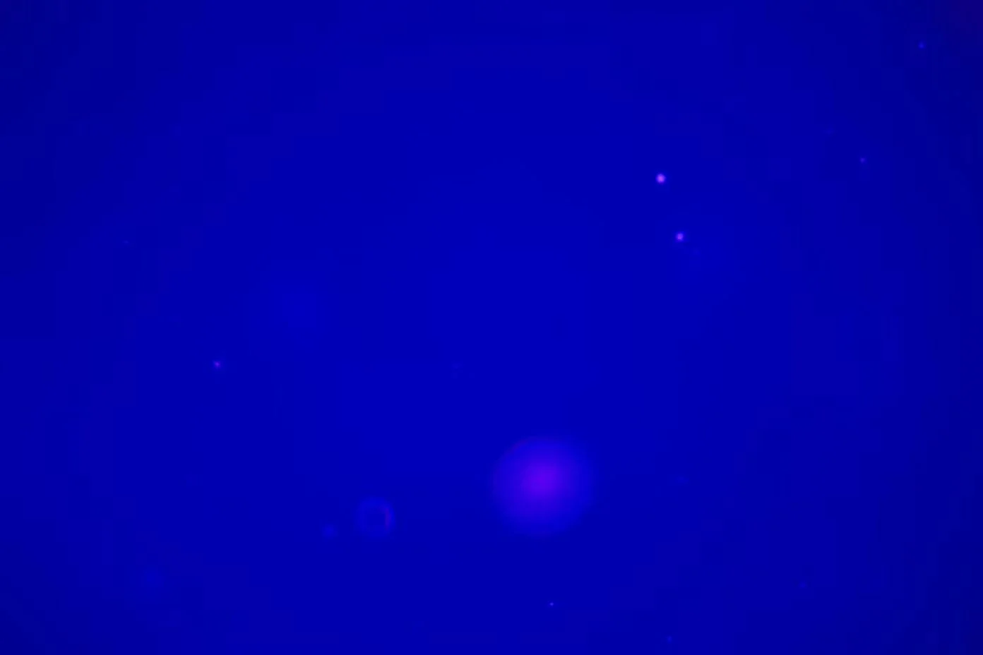 624205419_10166510291018906_5048361226762931621_n.jpg
