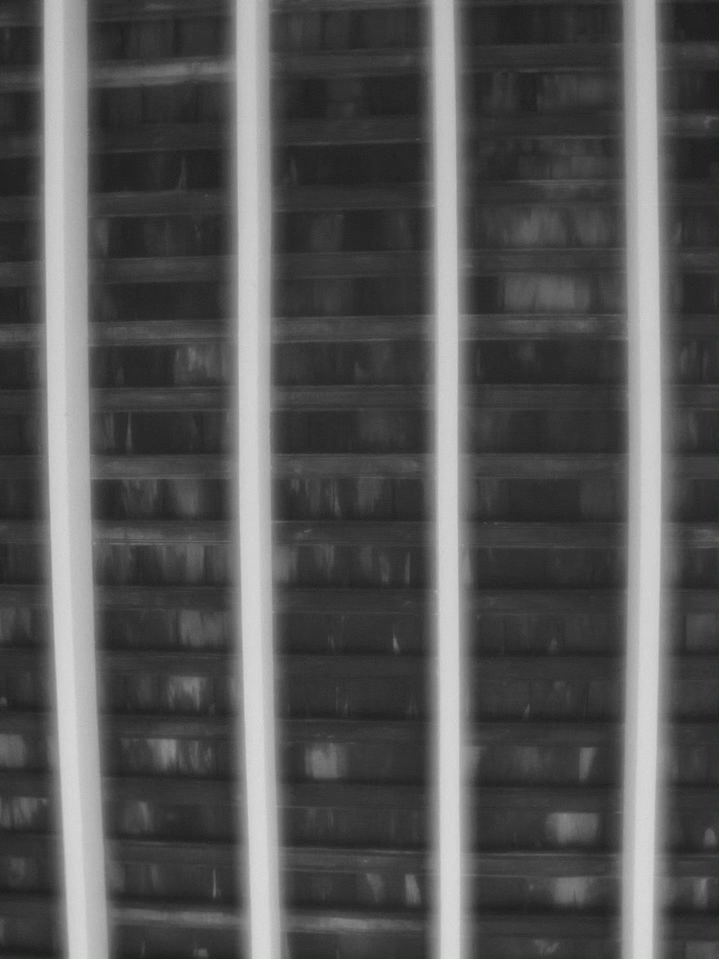 622214866_10166486410983906_6393318715752028192_n.jpg