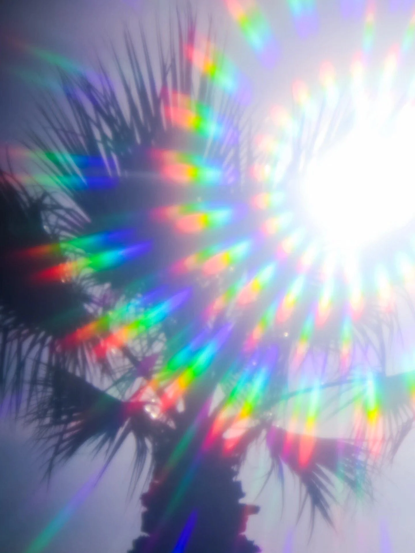 603776664_10166510271698906_259122006836205403_n.jpg