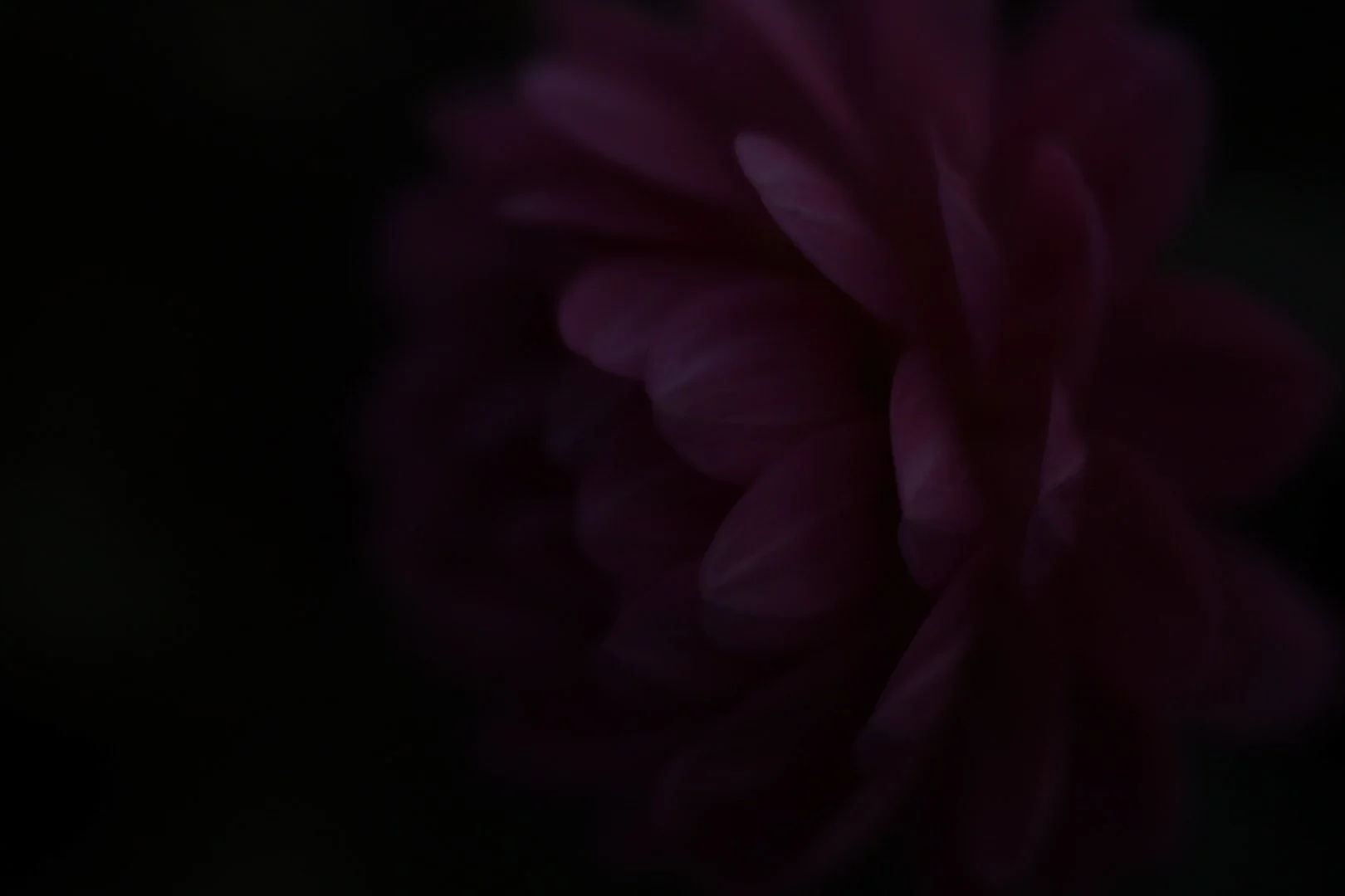 23-6H0A8189.jpg