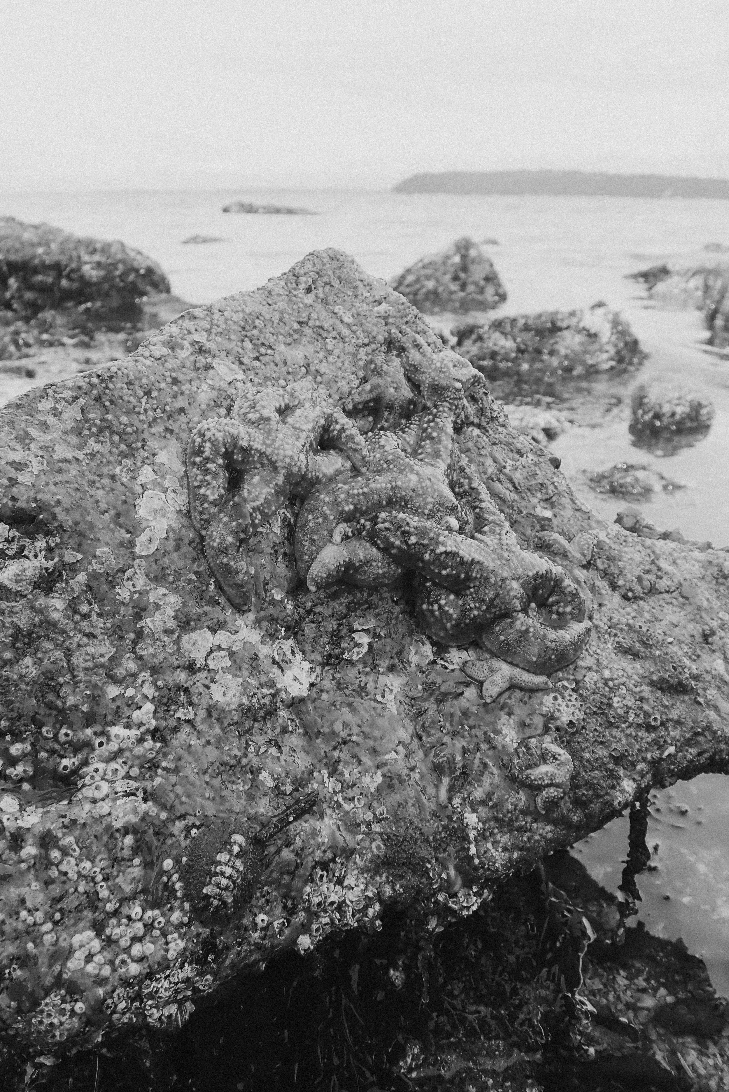206-IMG_2146.jpg