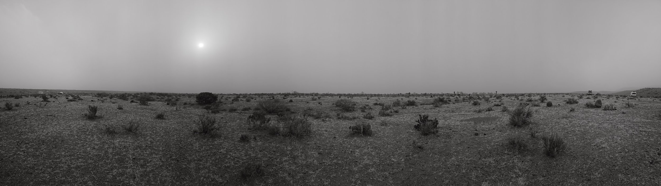 43-20250307_163727.jpg