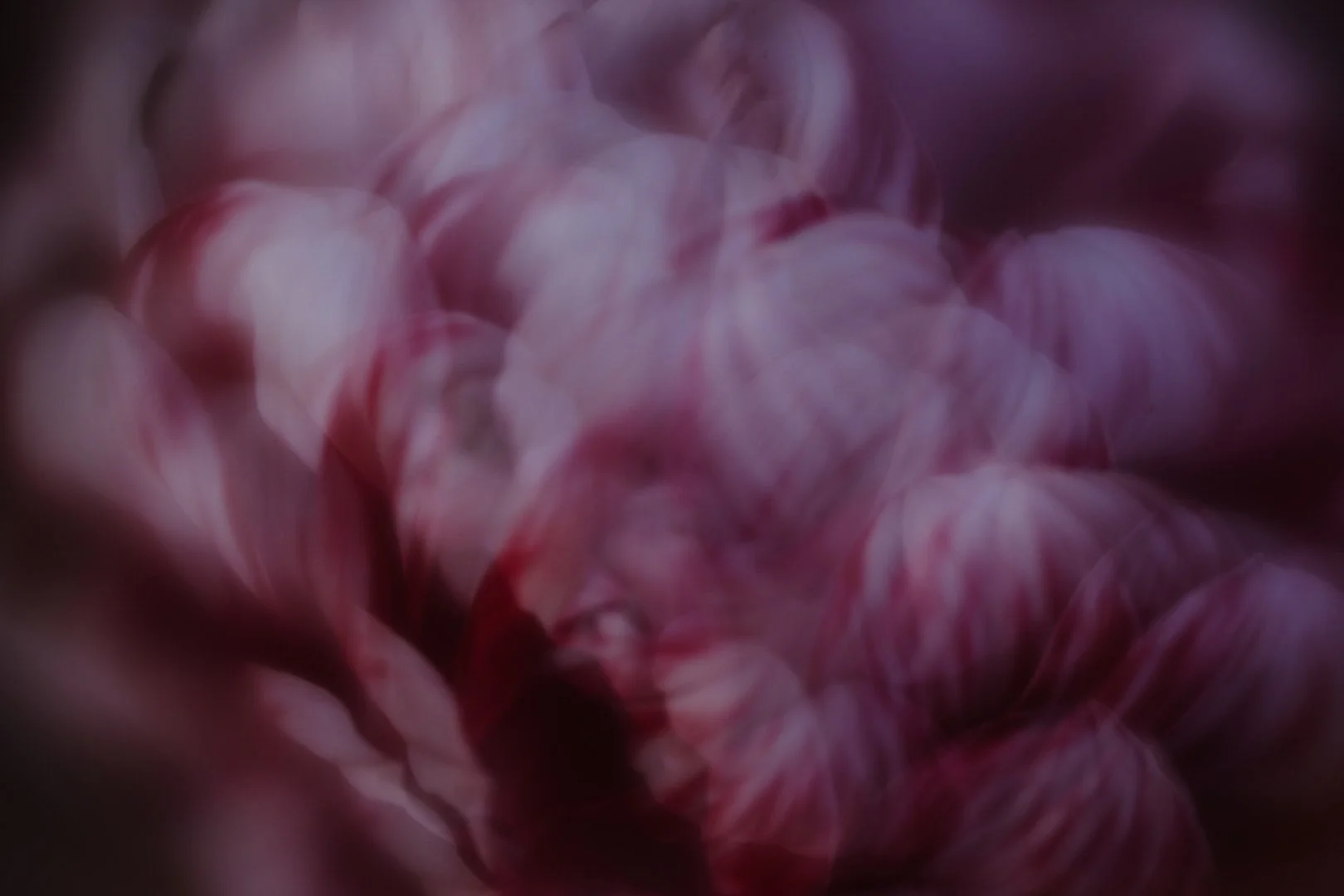 Botanical Art