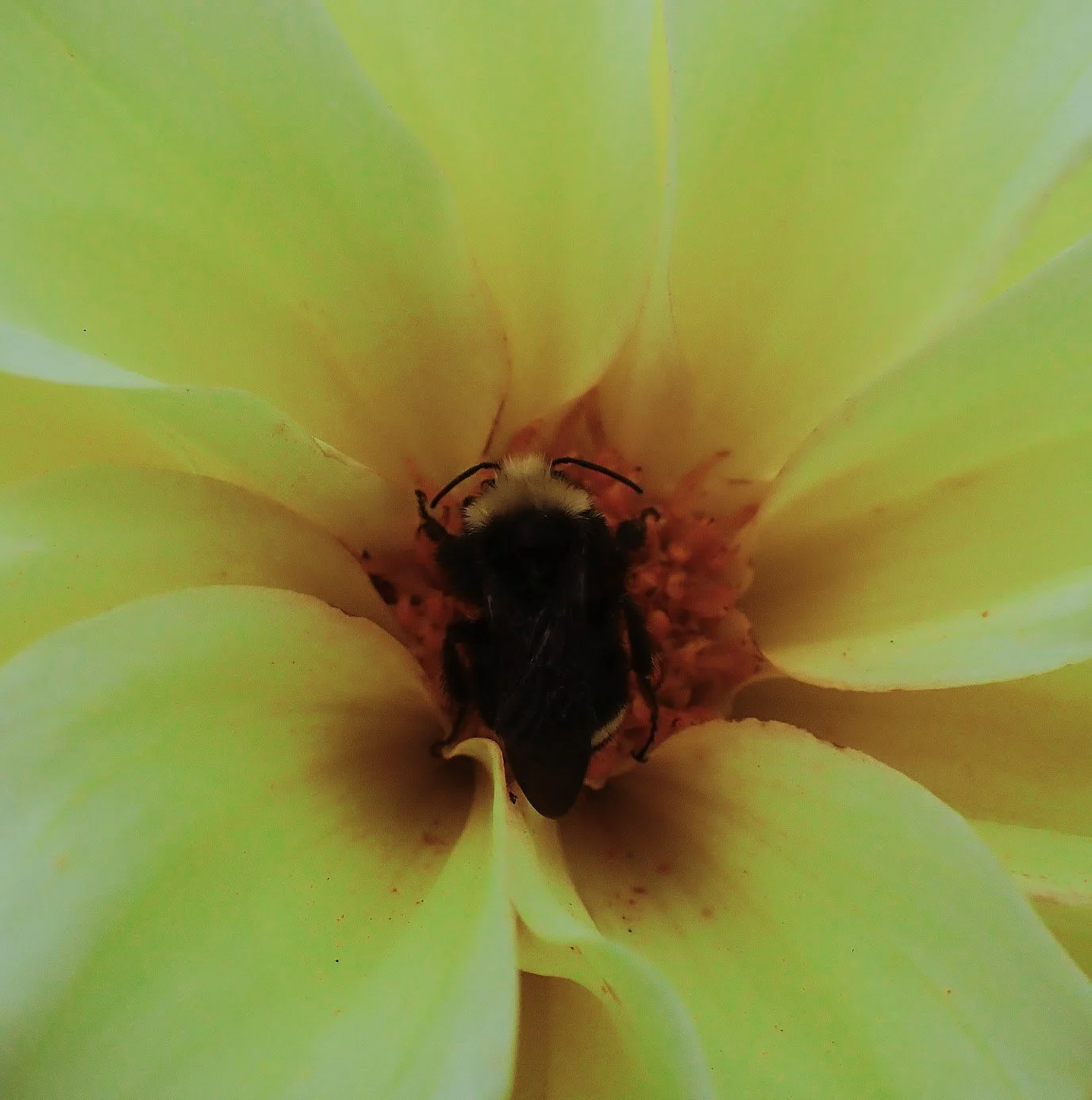321-P9145211.jpg