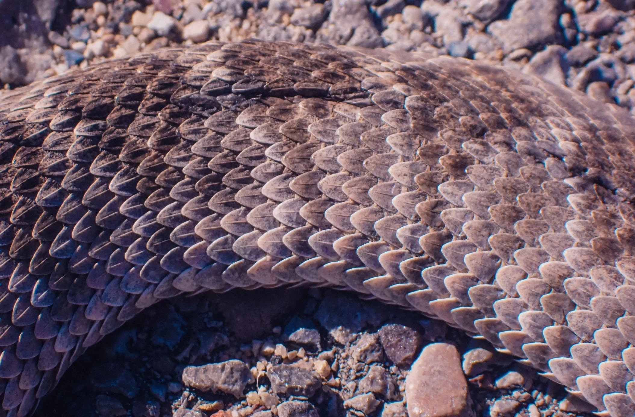 9-PB056067.jpg