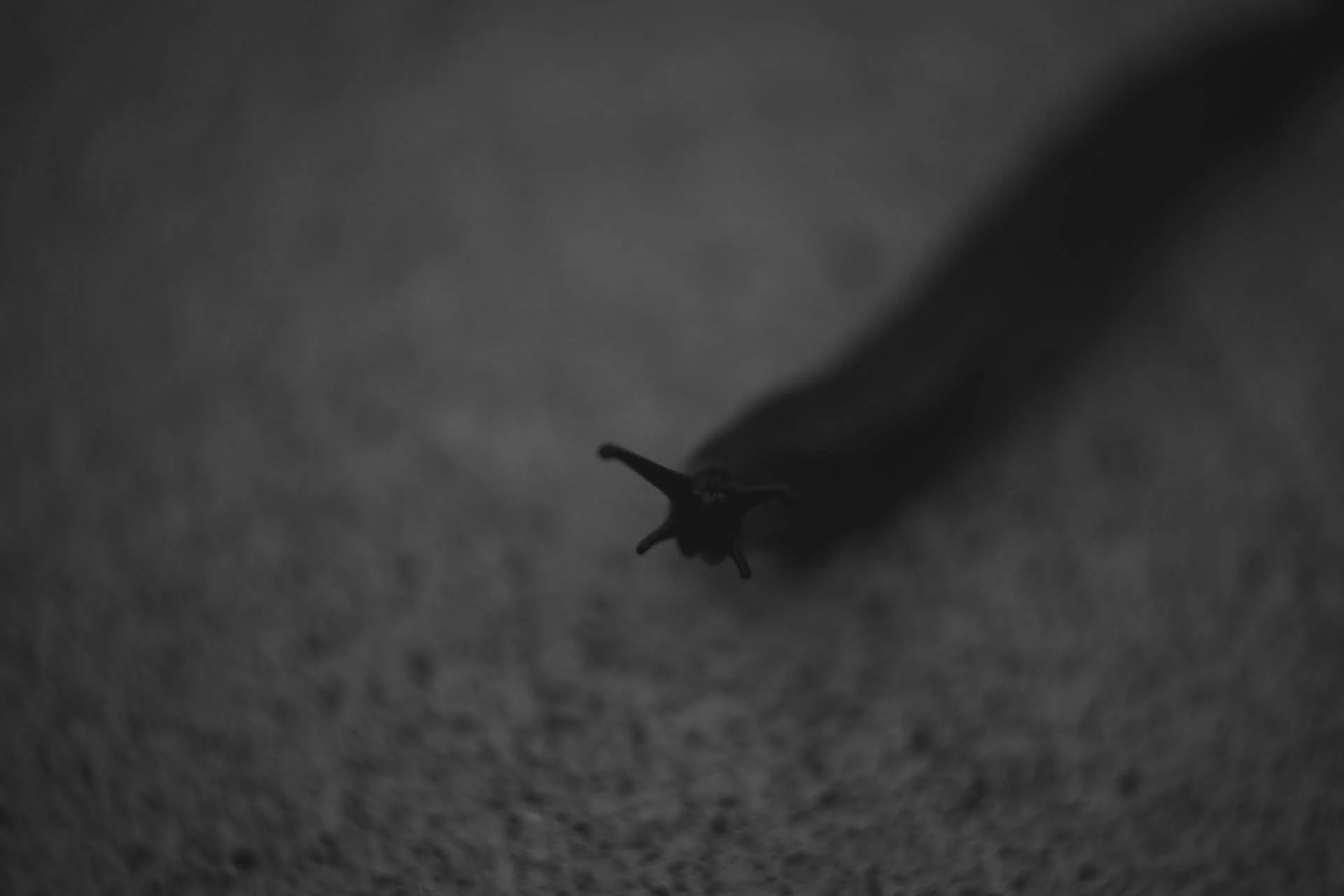 8-IMG_9467.jpg